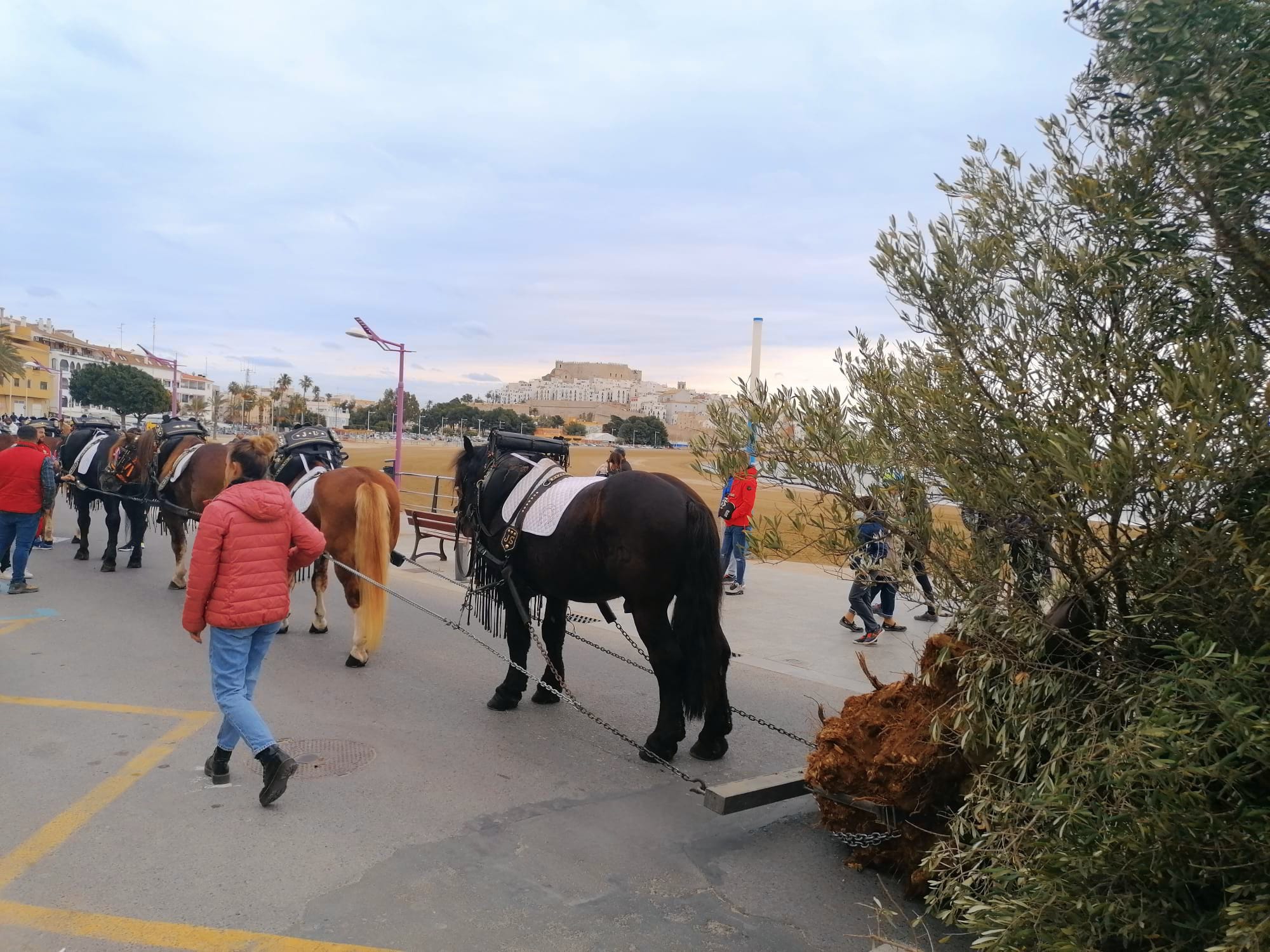 SANT ANTONI ABAT EN PEÑÍSCOLA