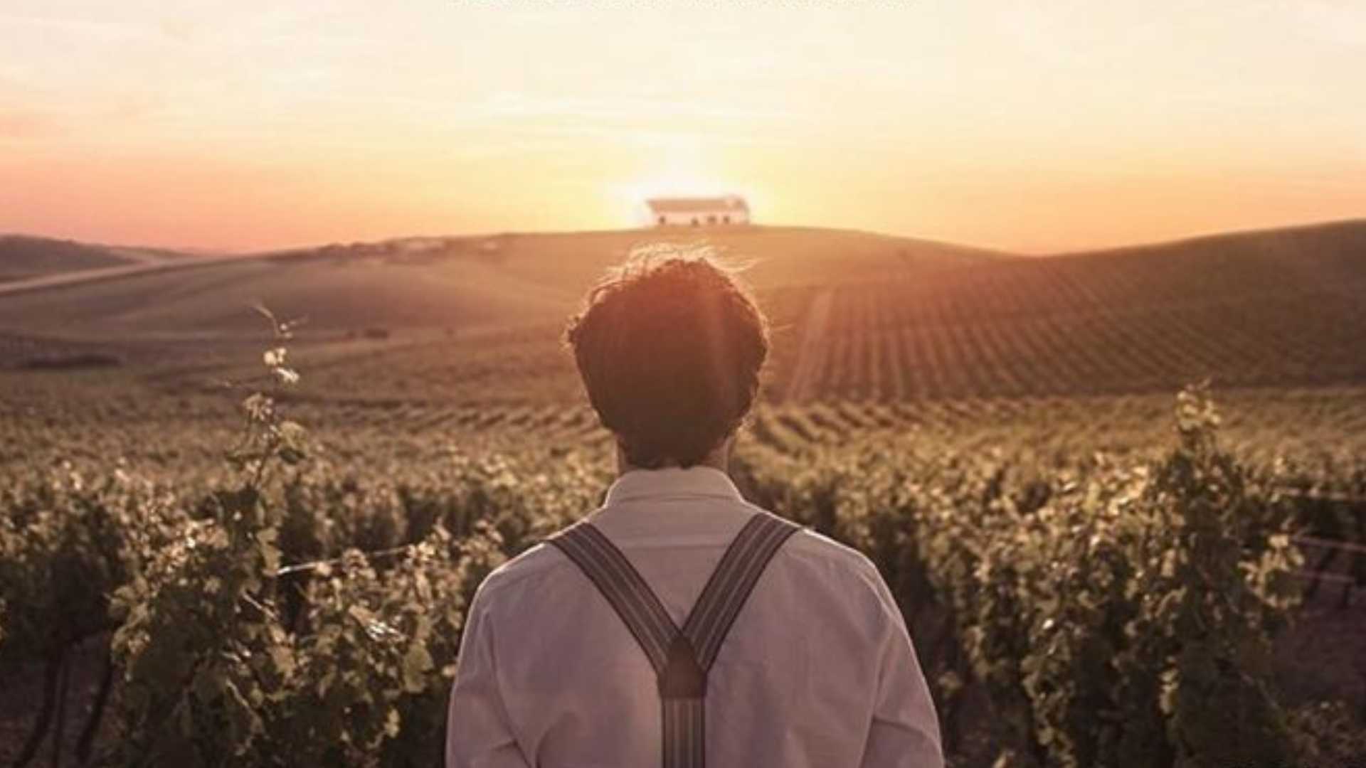 Cinéma: El verano que vivimos