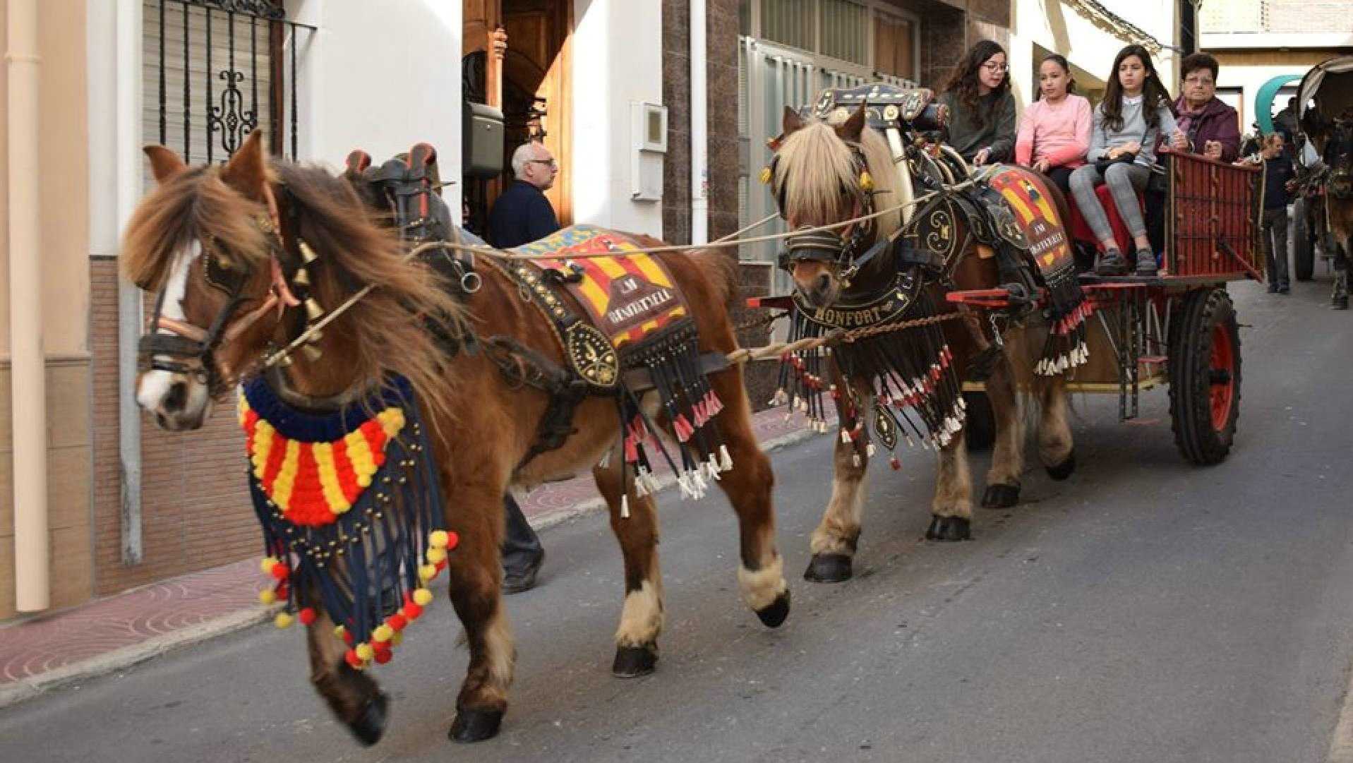 FIESTA DE SAN ANTONIO ABAD