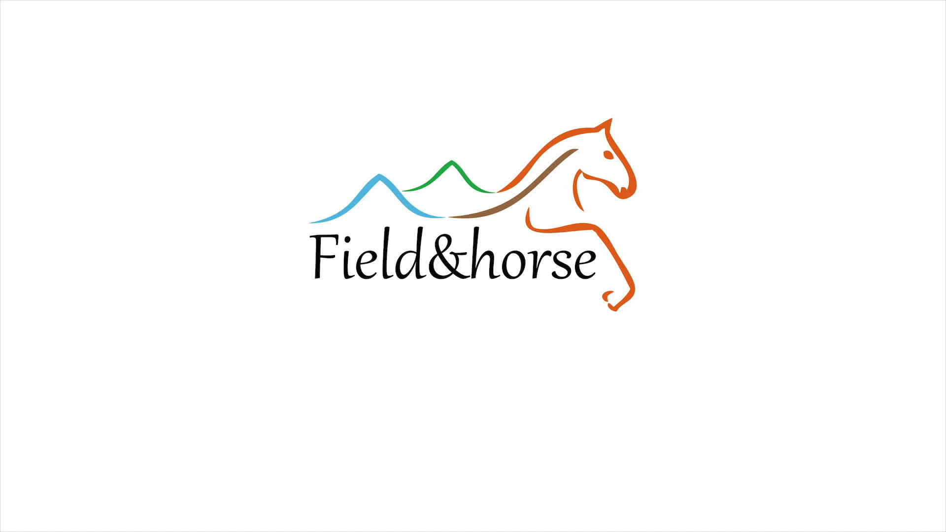 FIELD& HORSE