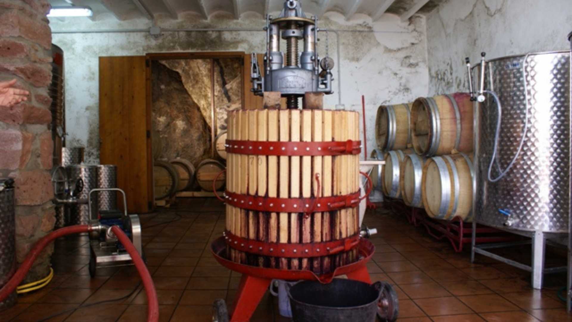 Visita Celler Magnanimvs