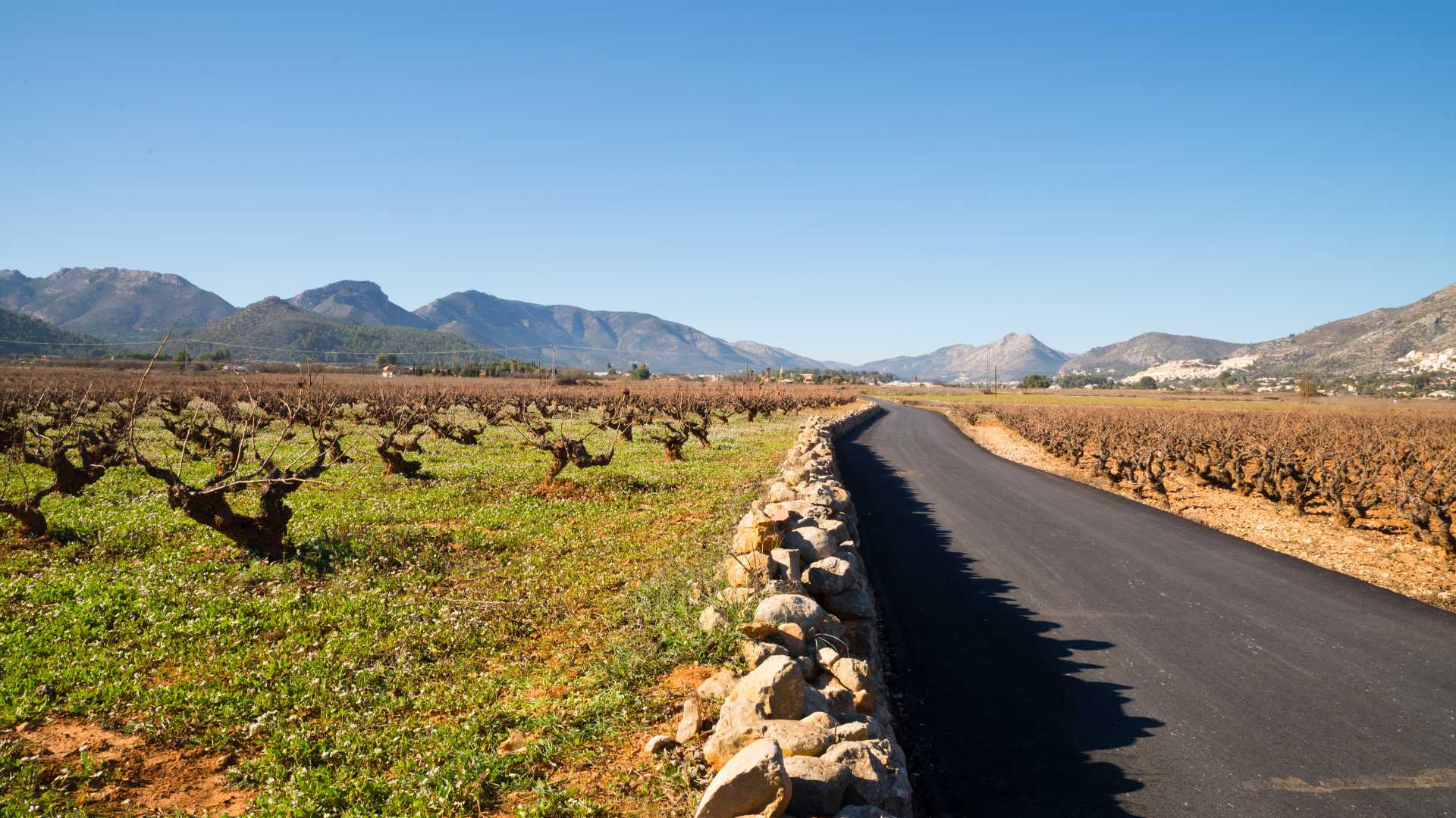 bodegas riko xalo