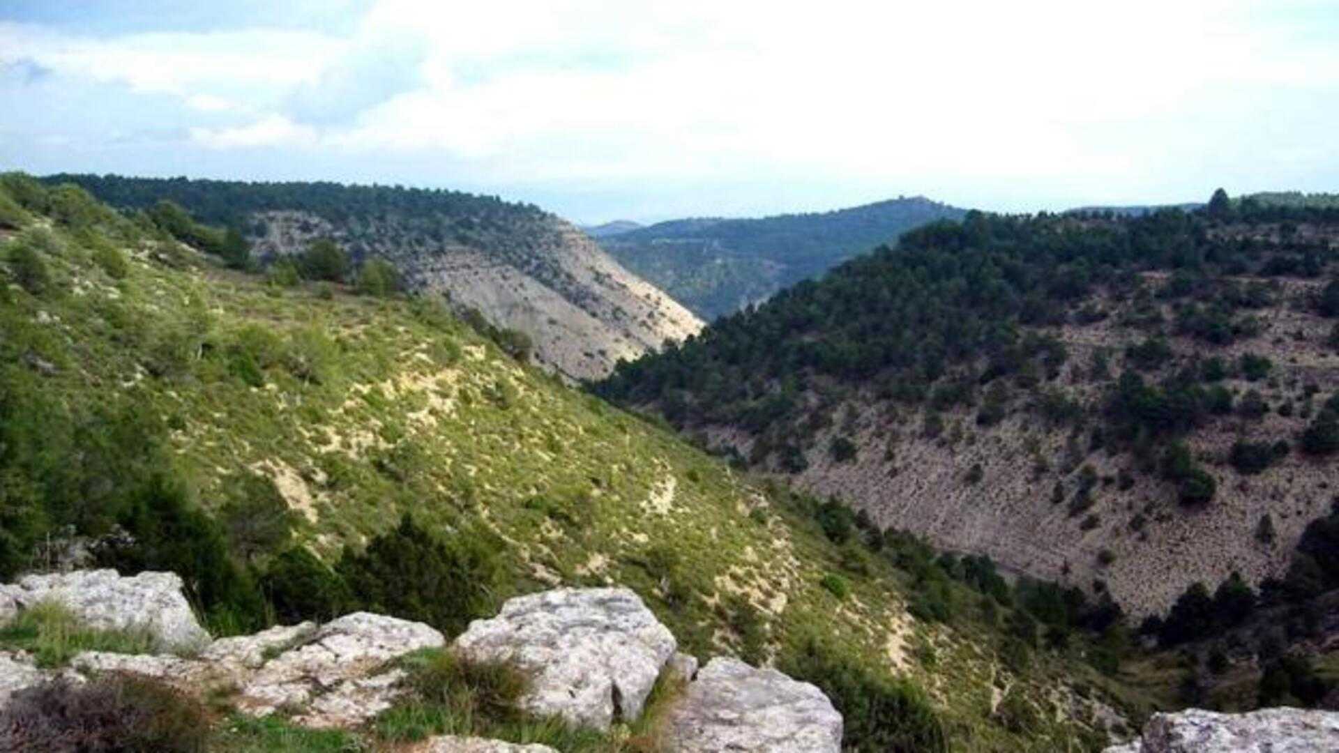 Naturpark Muela de los Tres Reinos