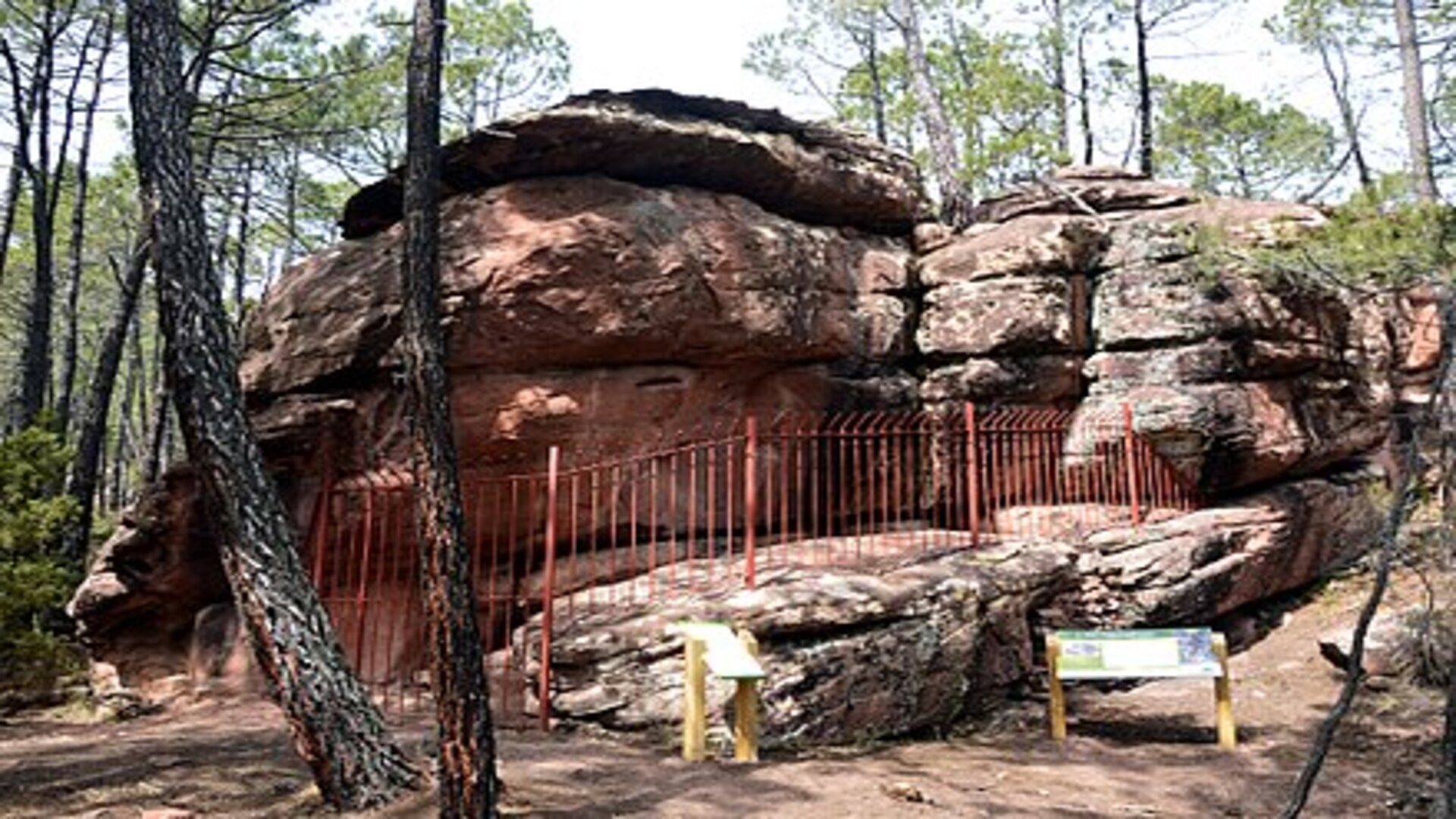 Visita al Yacimiento de las Lomas de Abril