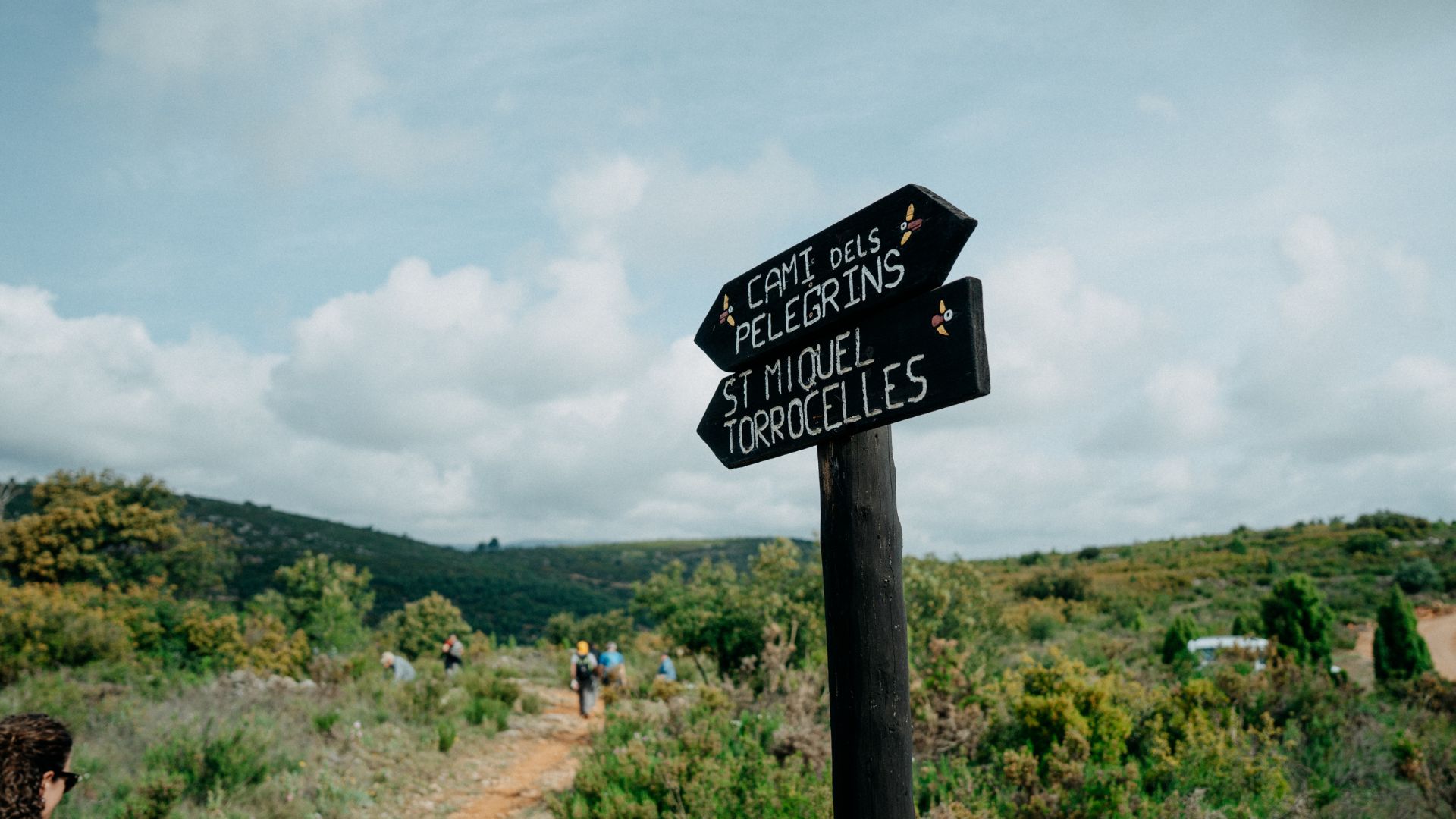 Torrocelles