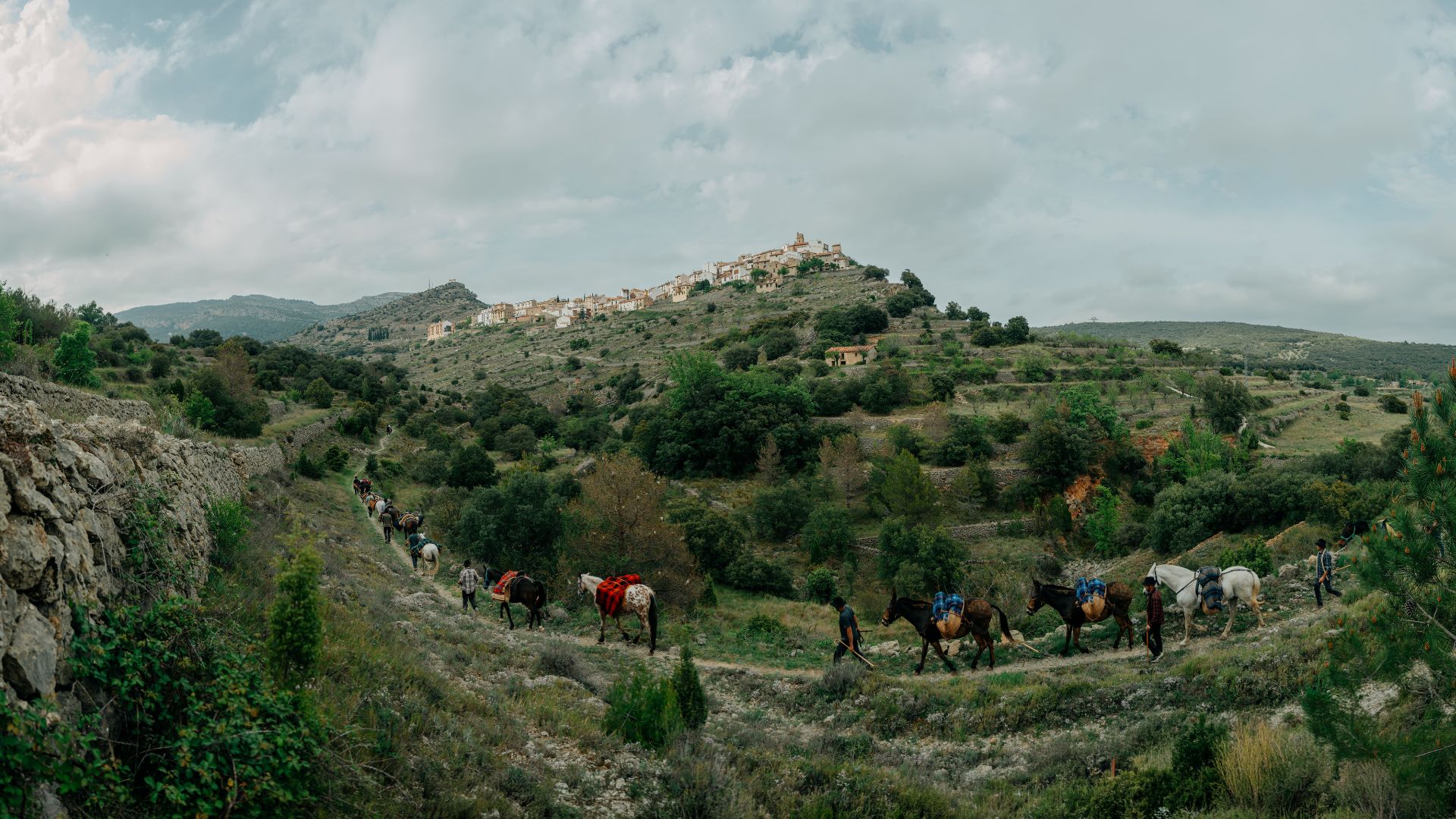 xodos