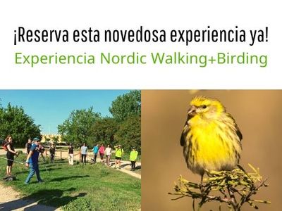Nordic walking + birding