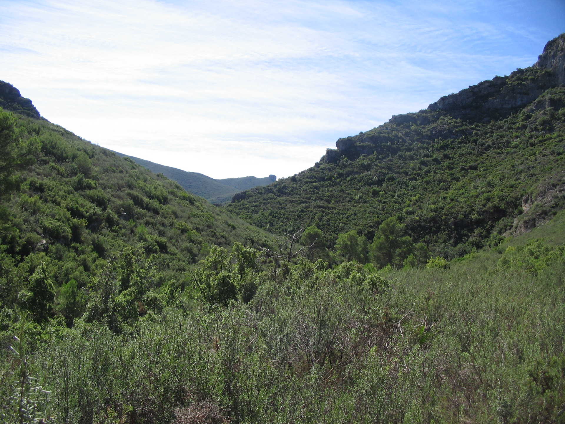 Paraje natural Municipal Barranc de la Fosch