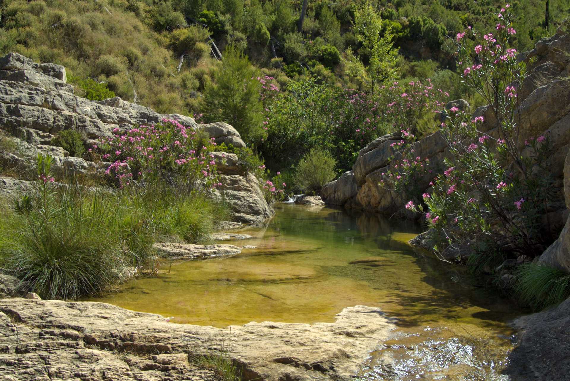 Naturpark Chera-Sot in Chera