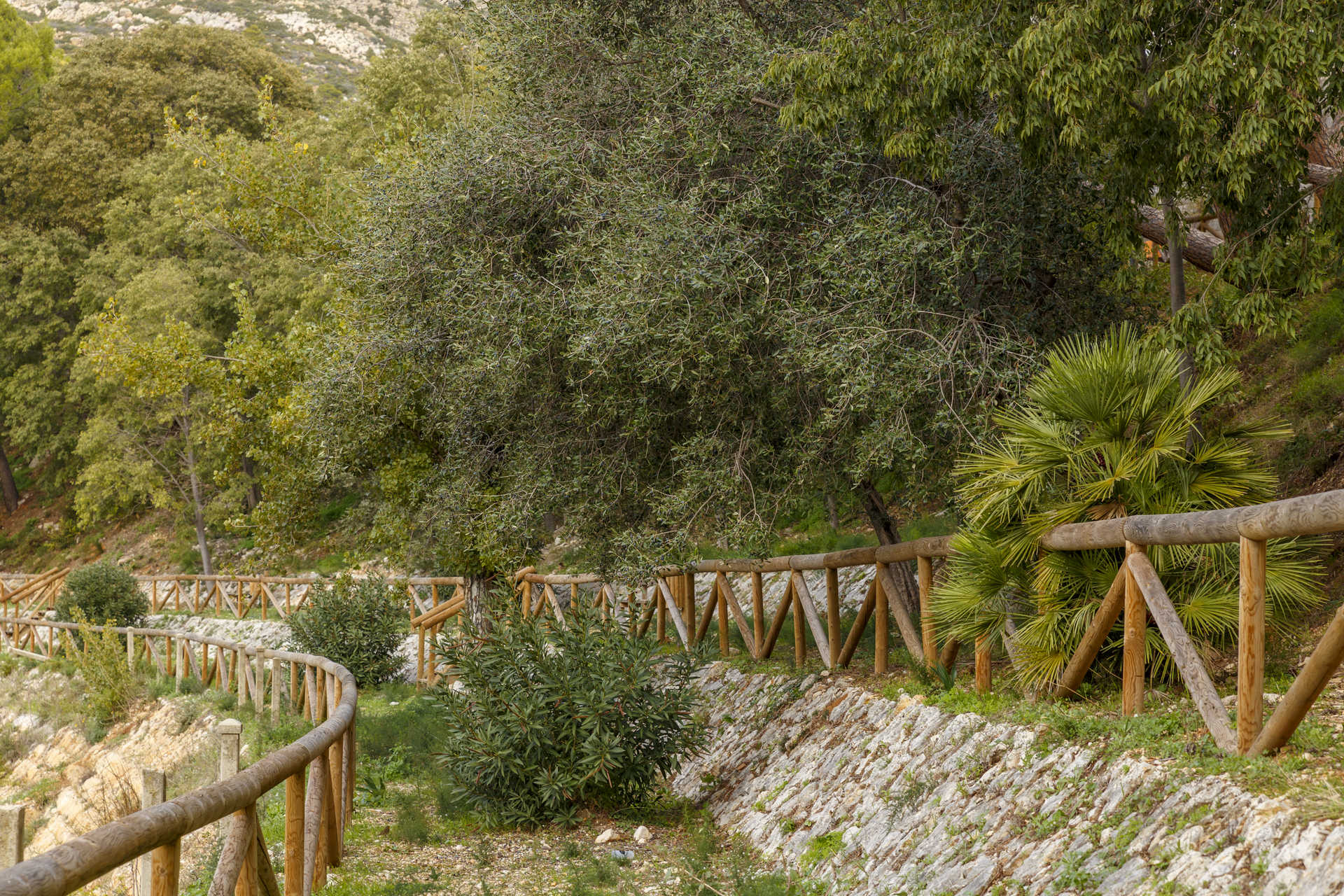 Parc Botànic 'El Ribàs' (Parque Botánico)