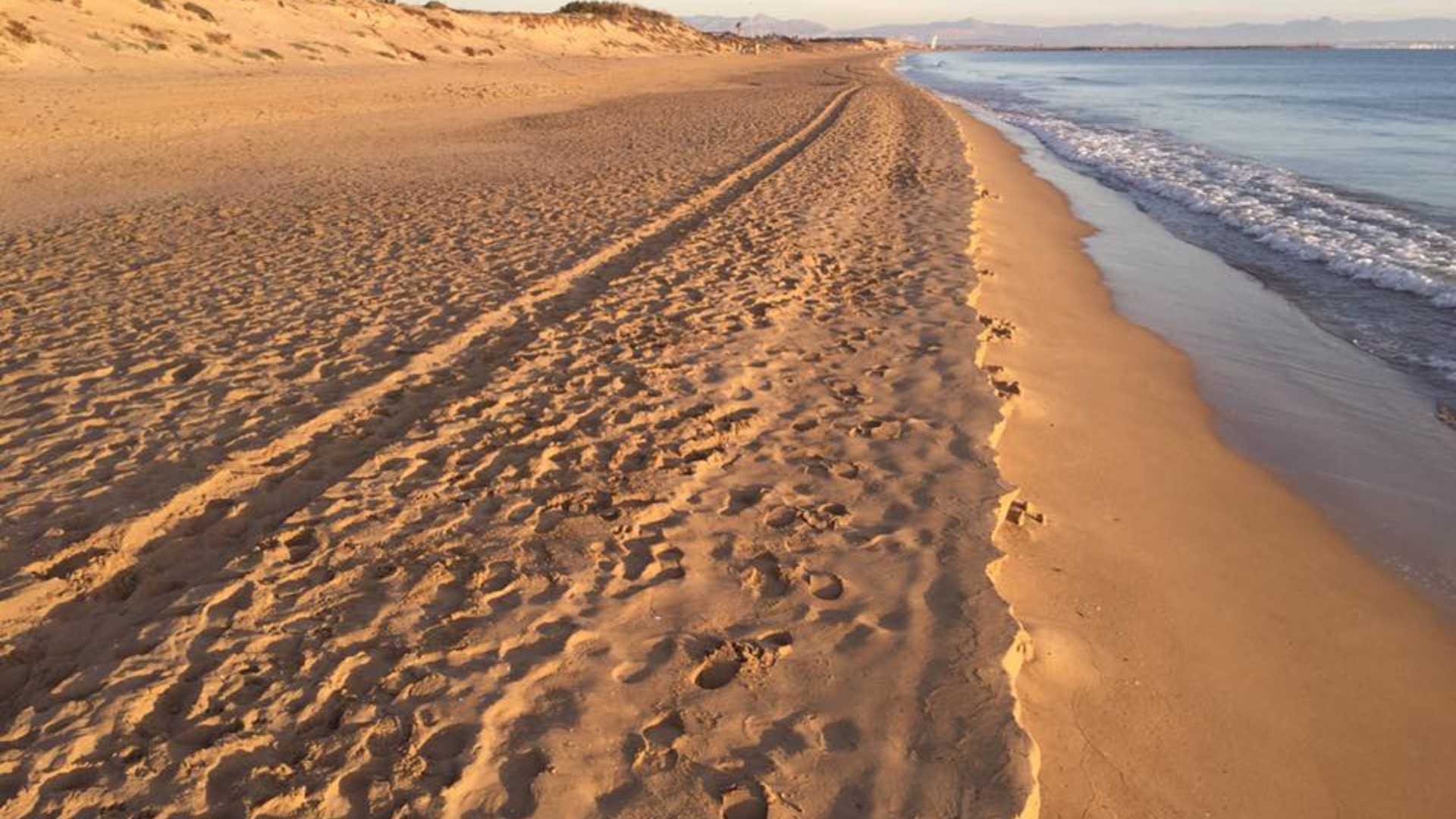 Guardamar del Segura PLAYA ELS VIVERS