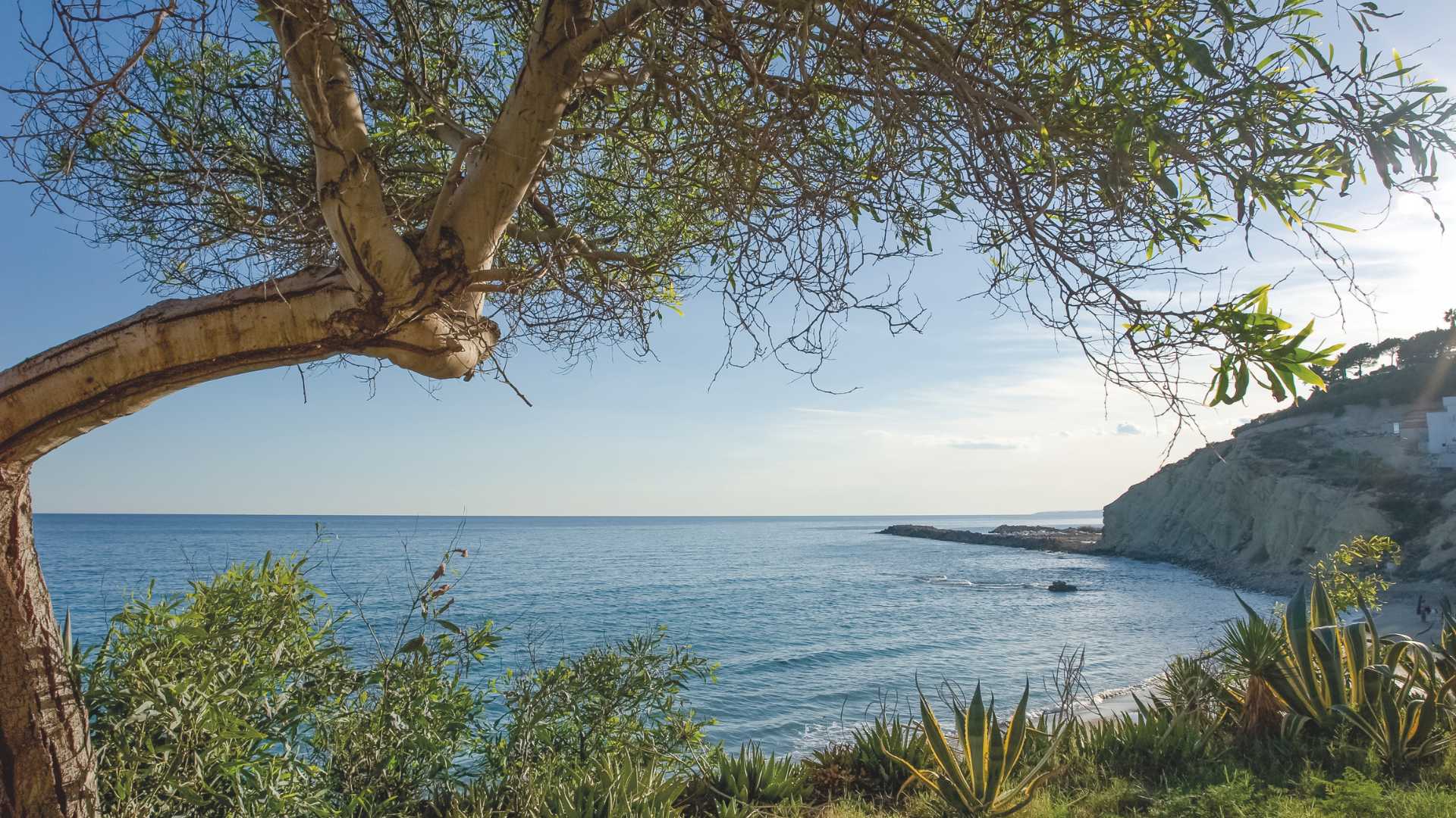 El Campello CALA LANUZA