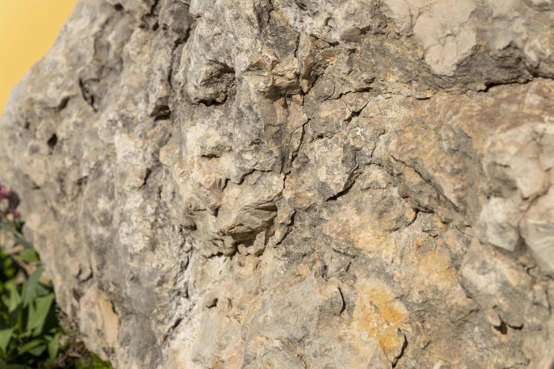 La Roca de la Salve