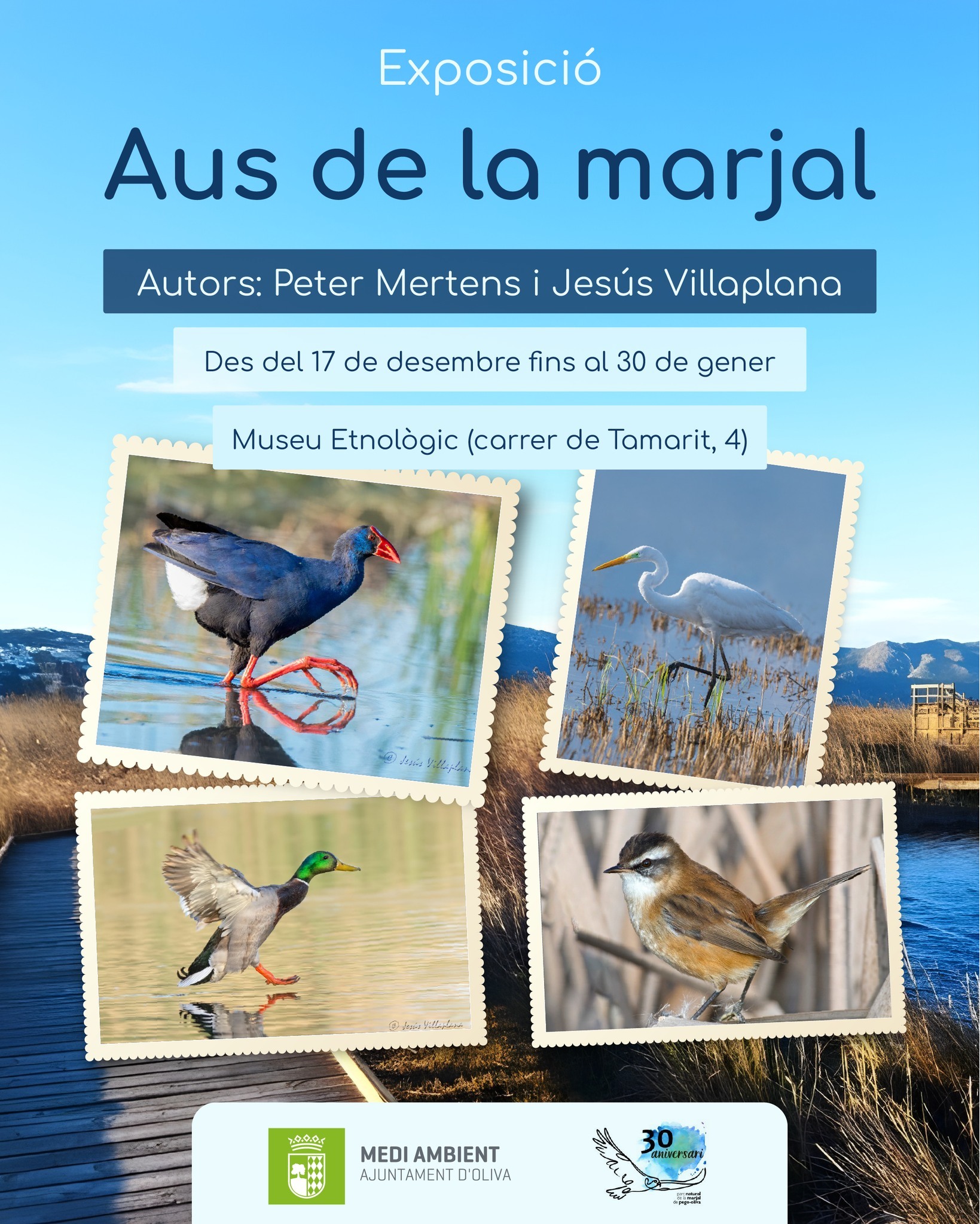Exposición 'Aus de la Marjal'