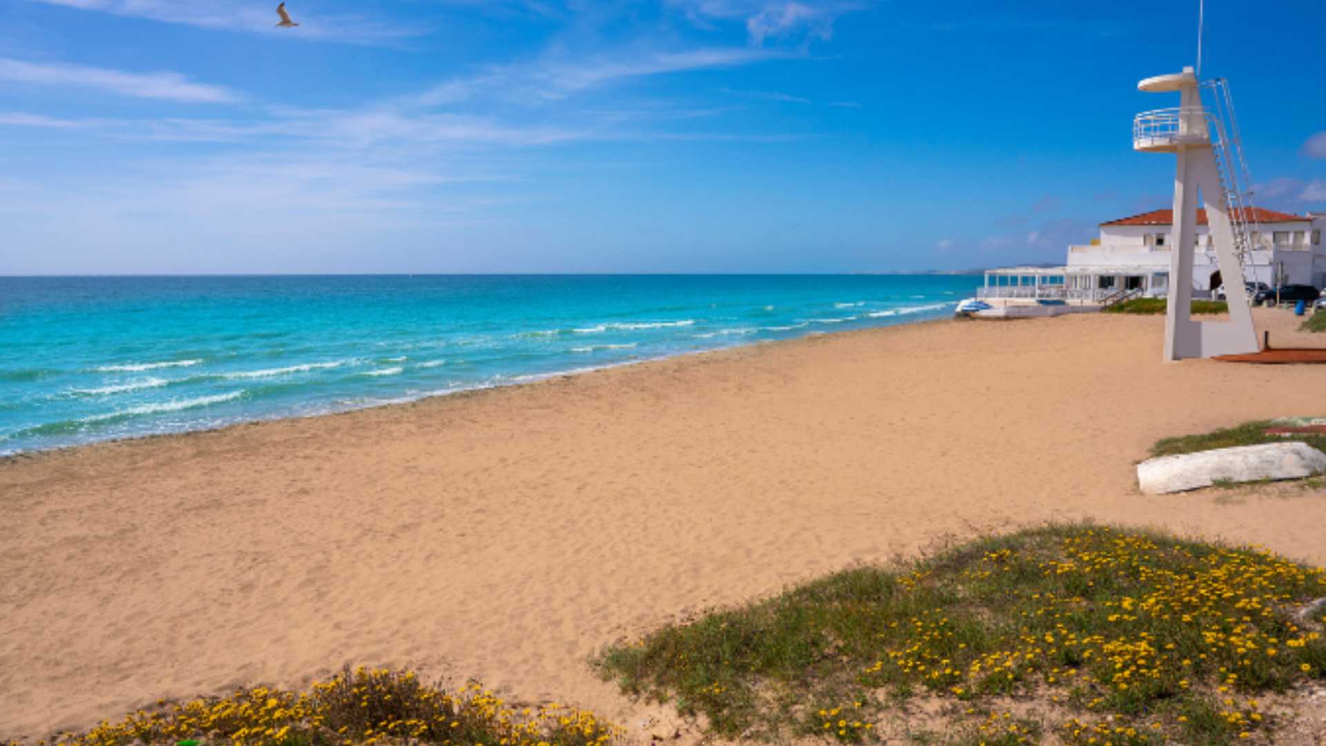 Elche PLAYA EL PINET