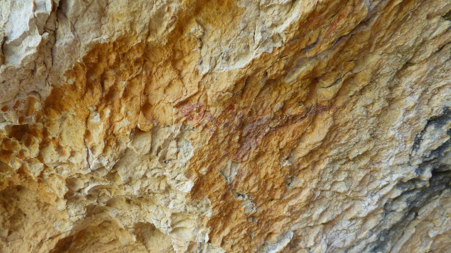 cave painting in the region of valencia,