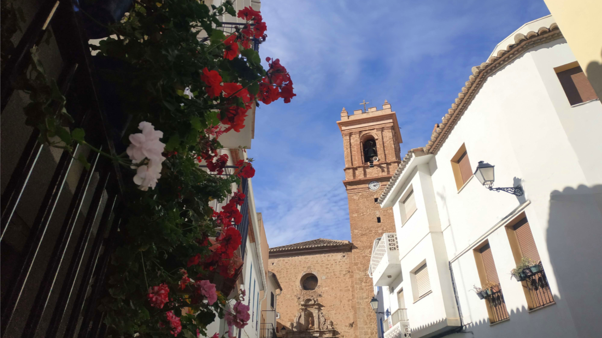  feria gastronomica calles