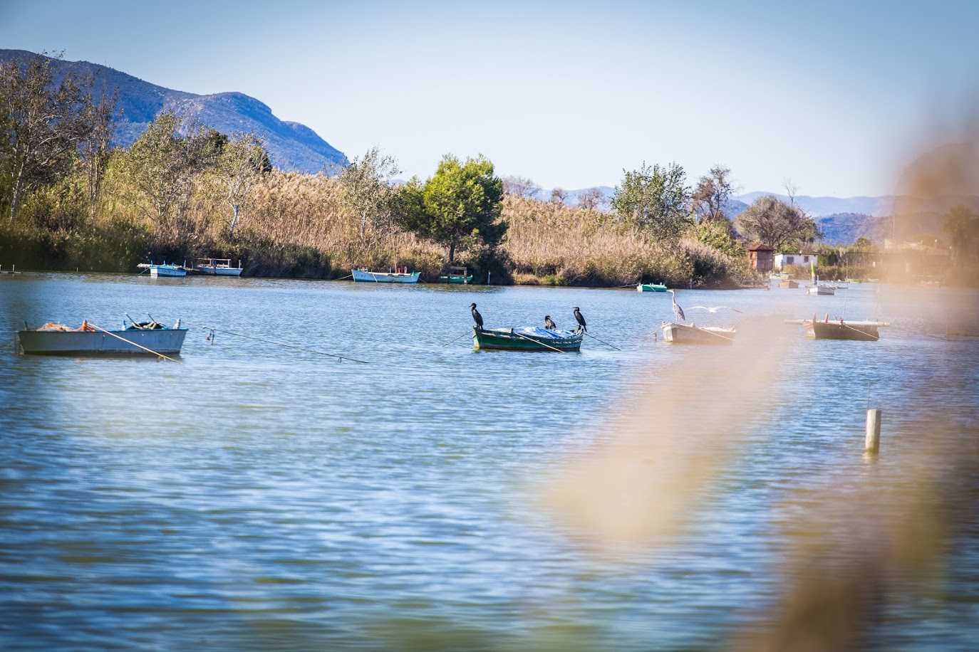 Desembocadura del río Júcar. Playas sur y lago del Estany.