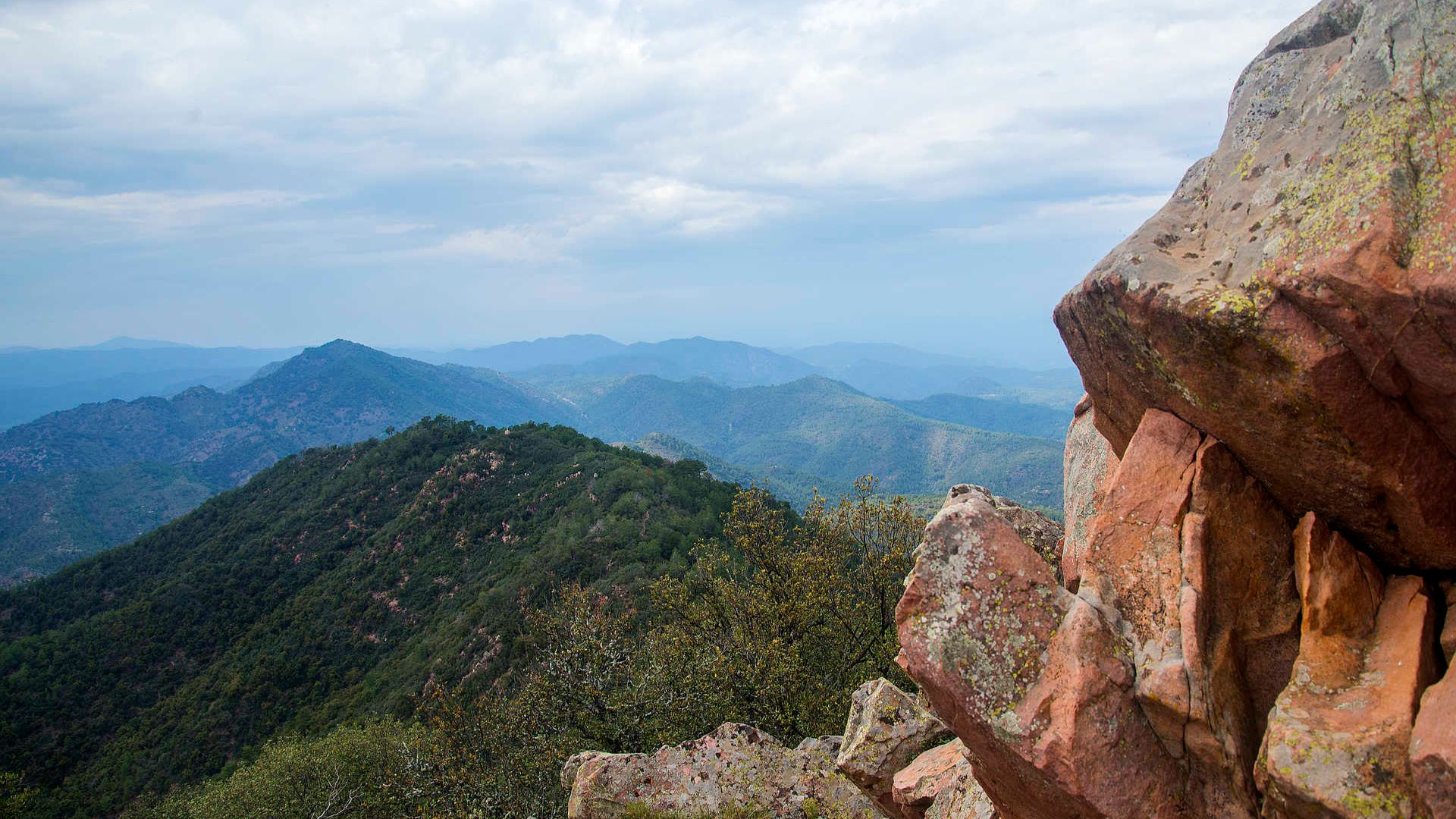 Febrero en la Comunitat Valenciana,