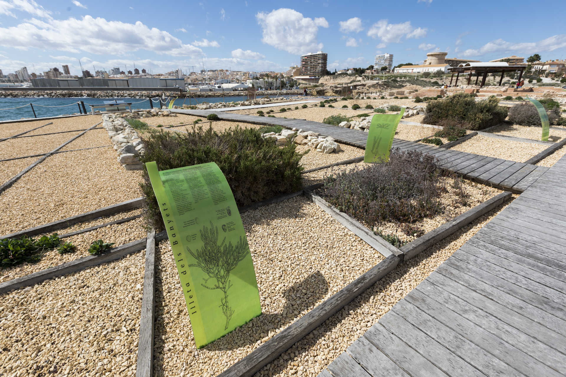 Illeta dels Banyets archaeological site