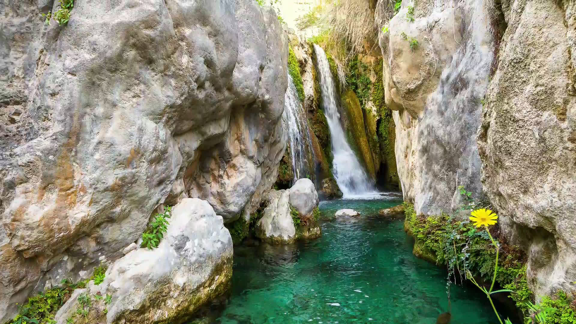 Callosa d'en Sarrià