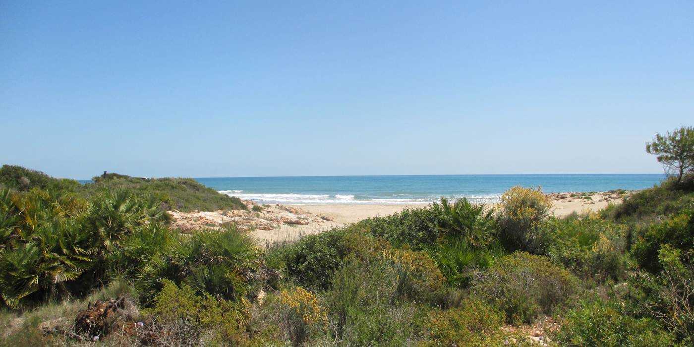 Calas de la Costa Sur