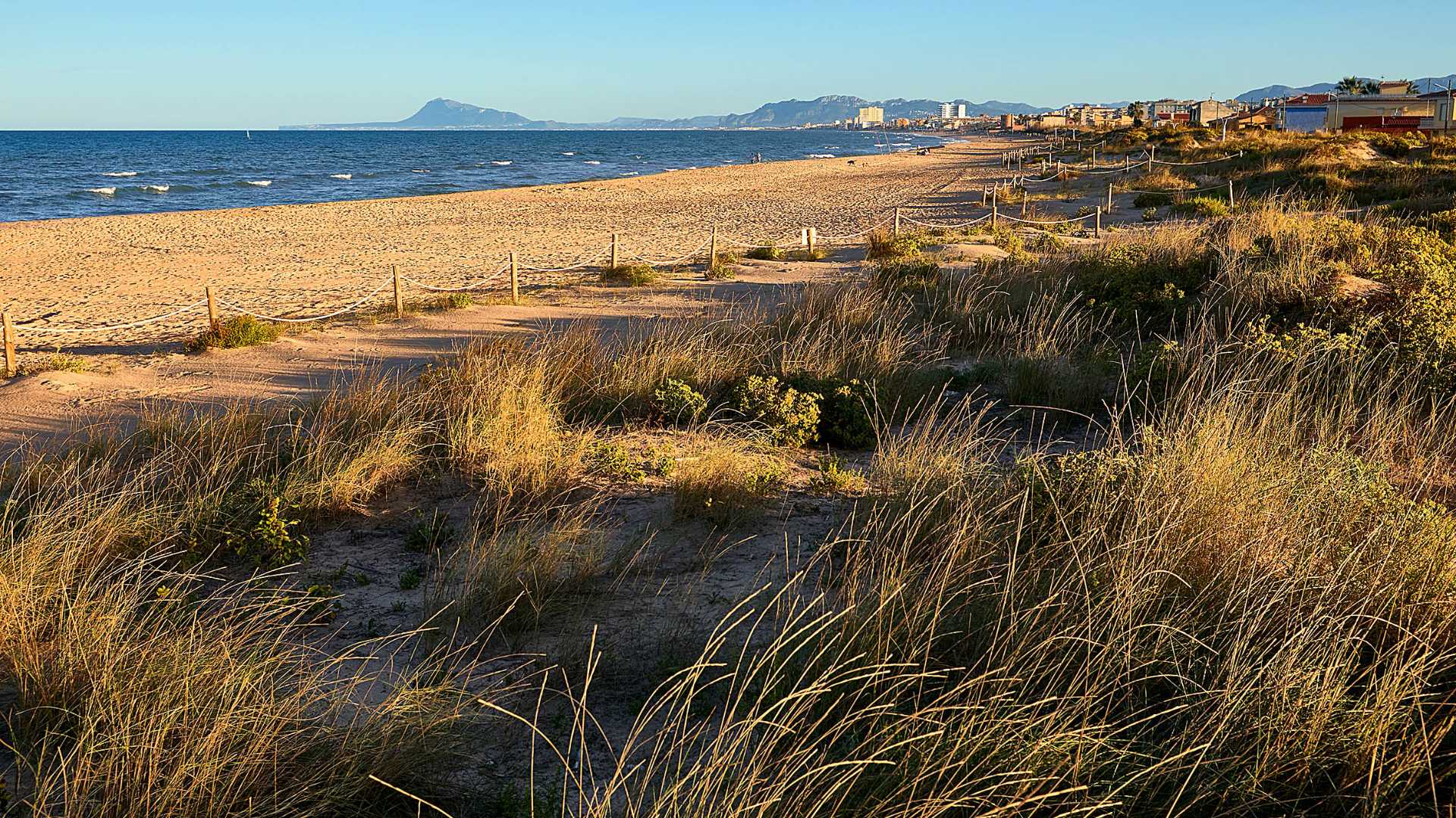 Gandia Playa Mareny de Rafalcaid