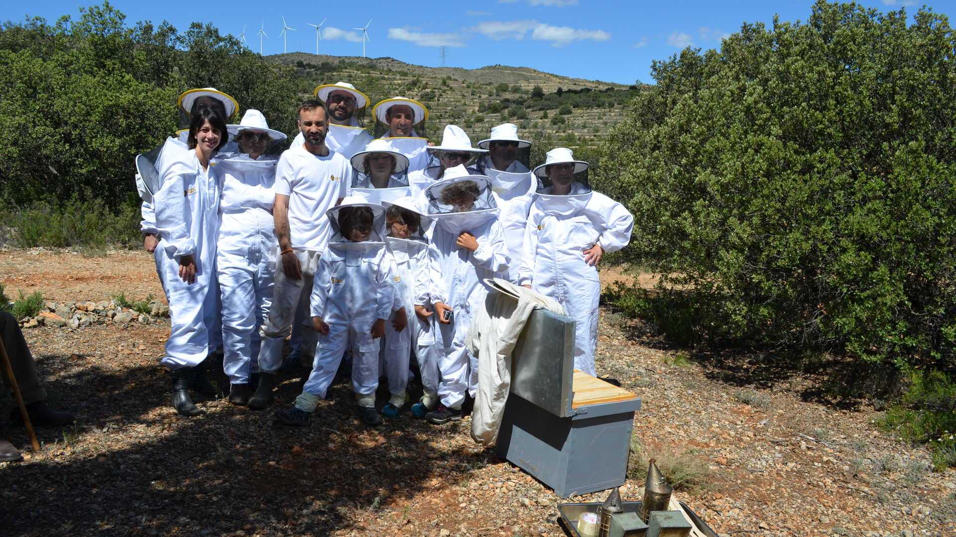 tourisme apiculture