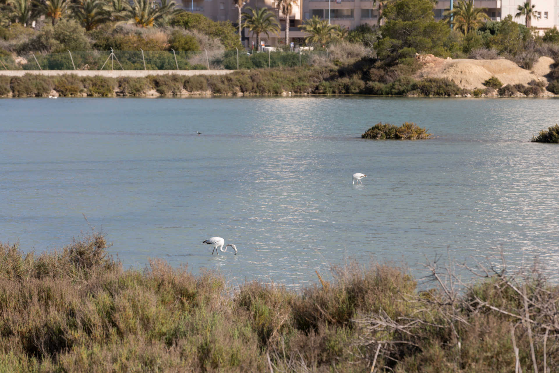 Penyal d'Ifac Natural Park