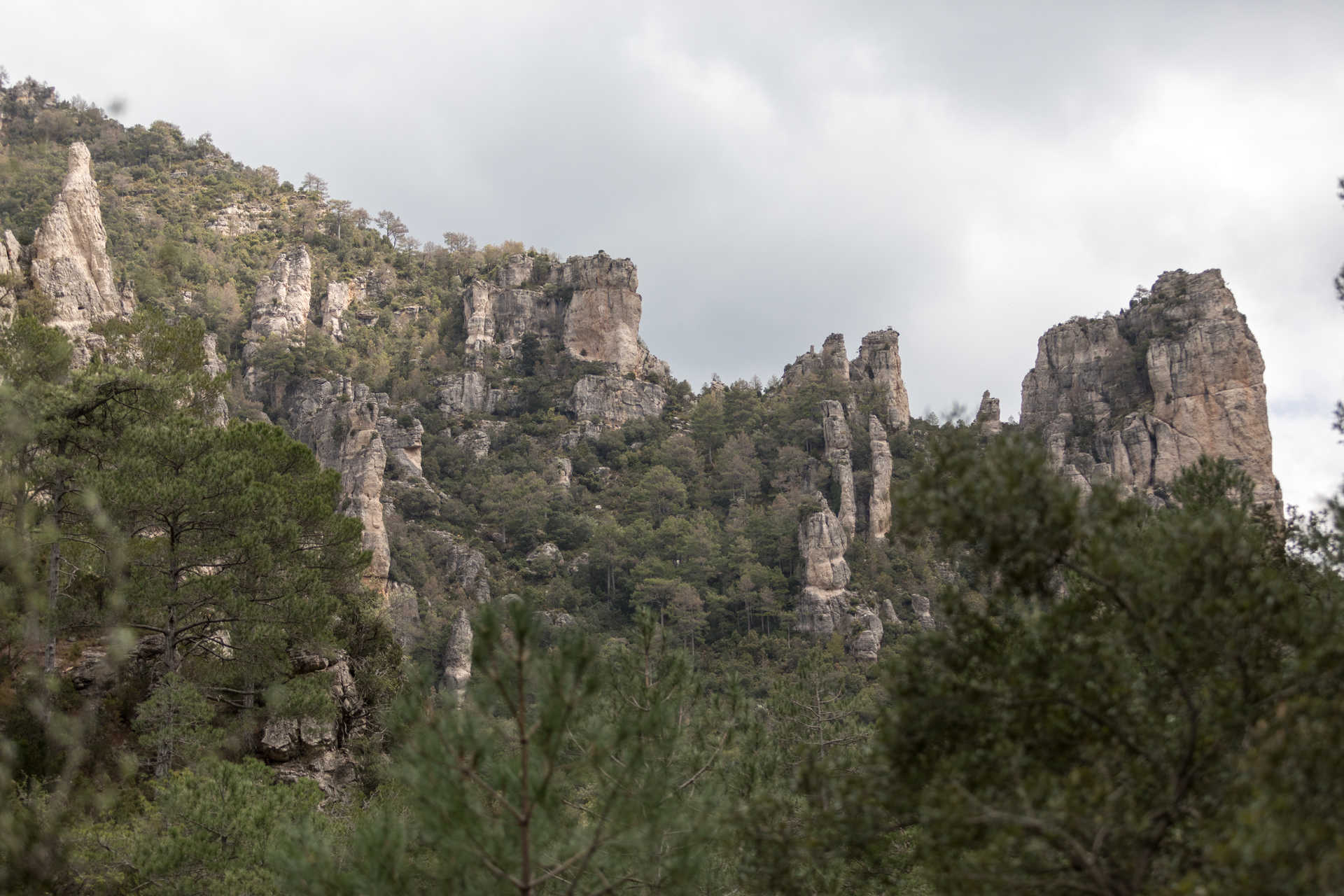 Parque Natural La Tinença de Benifassà