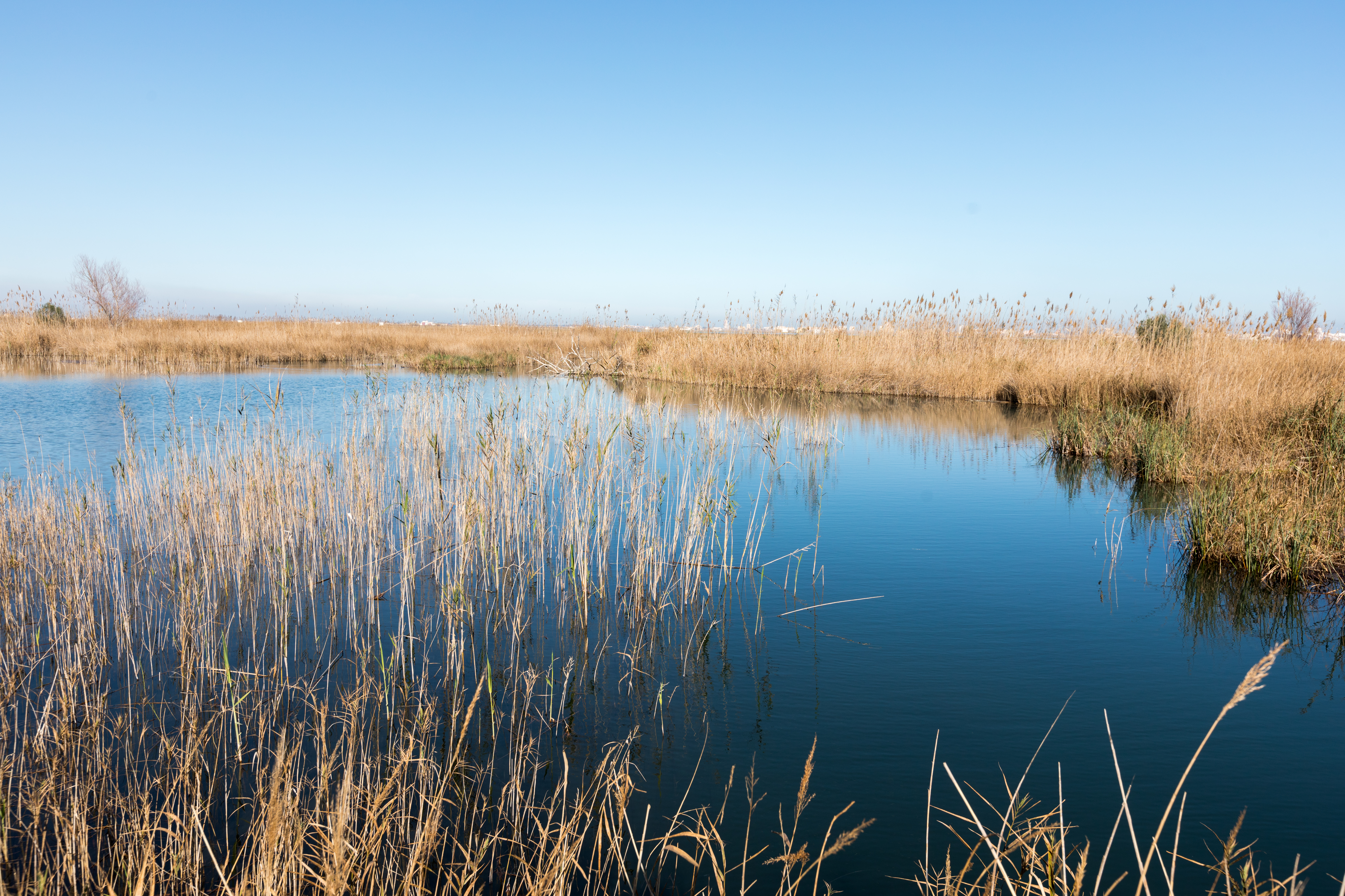 El Ullal de Baldoví