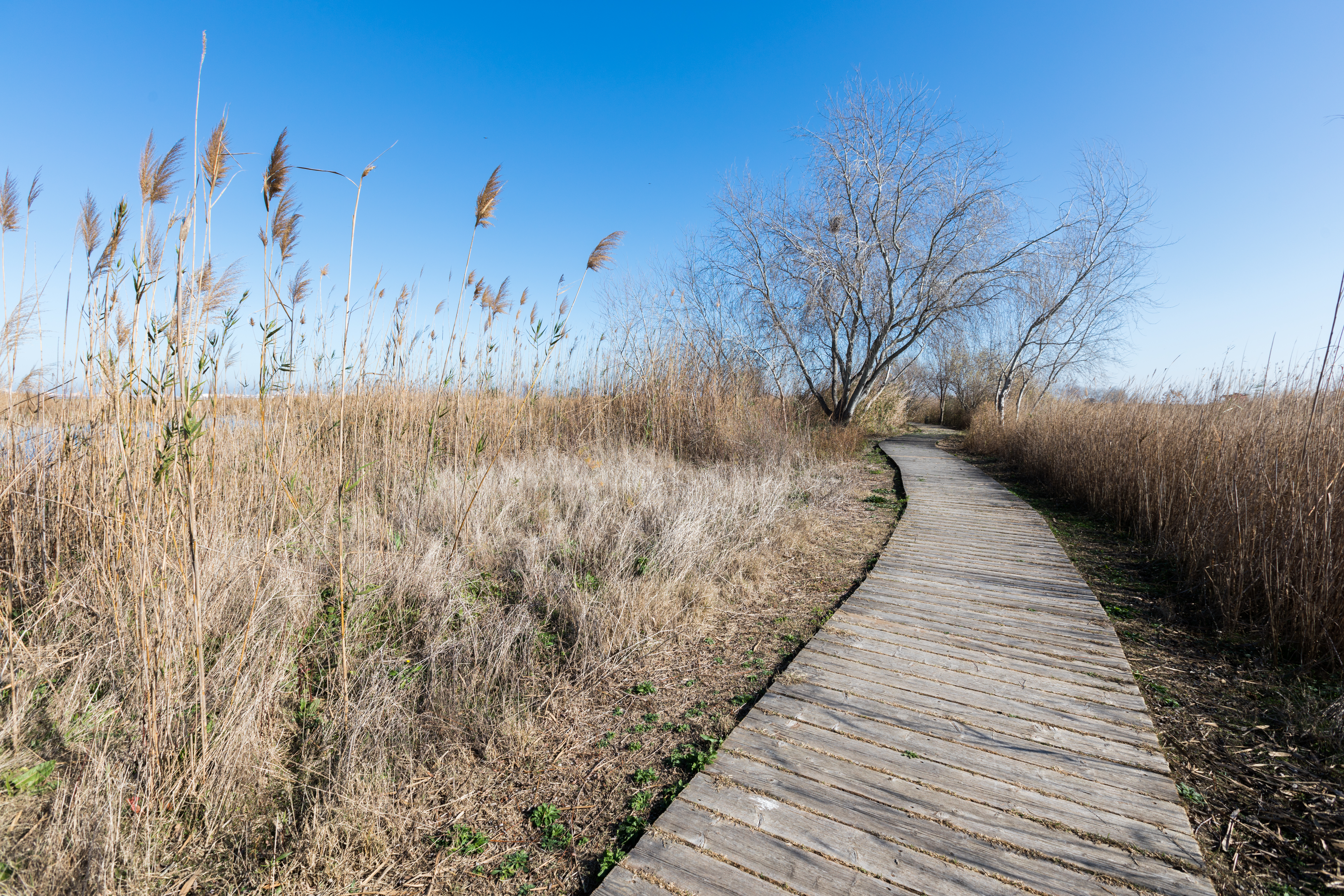 El Ullal de Baldoví