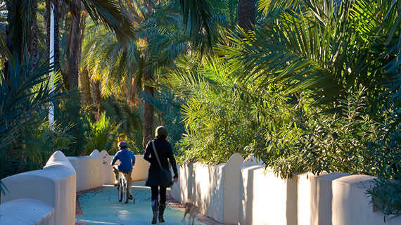 SENDERO DEL PALMERAL