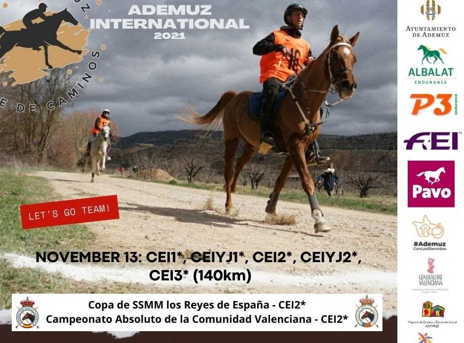 XVI RAID HÍPICO DE ADEMUZ