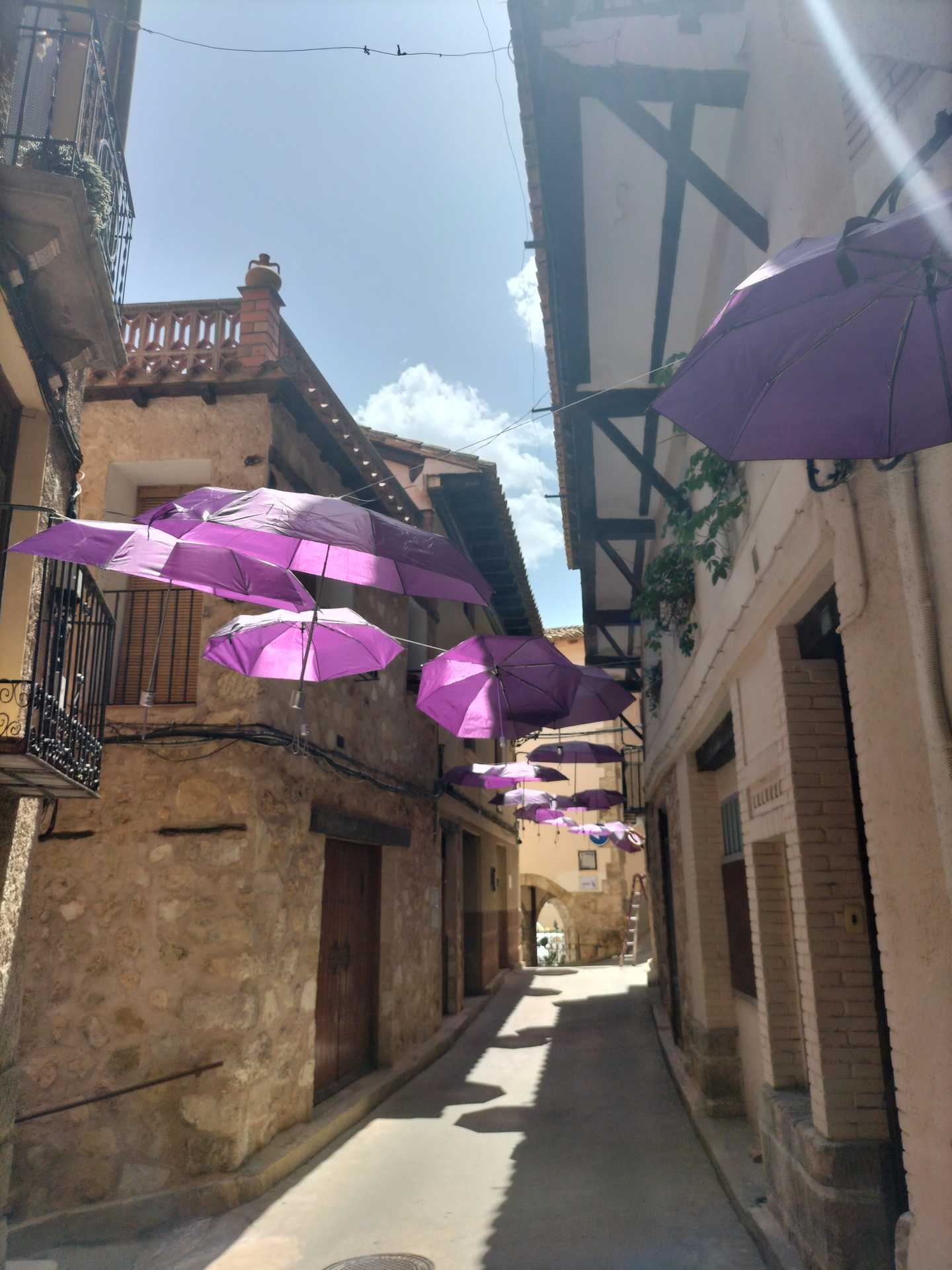 Floración de la lavanda