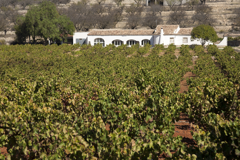 Les Valls de La Marina