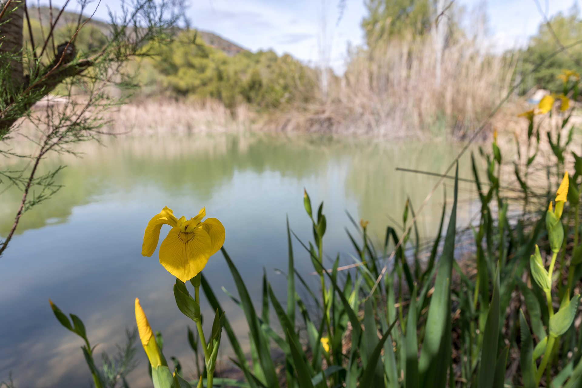 Parque Natural del Turia