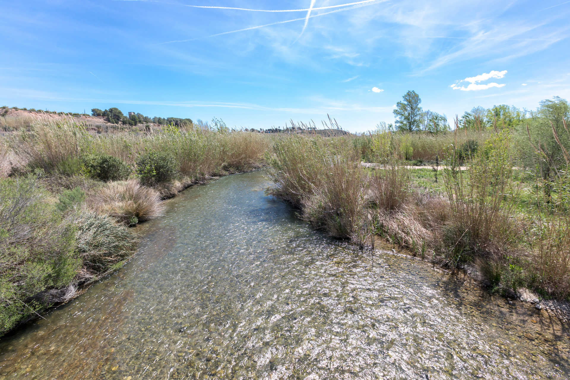 El Turia natural park