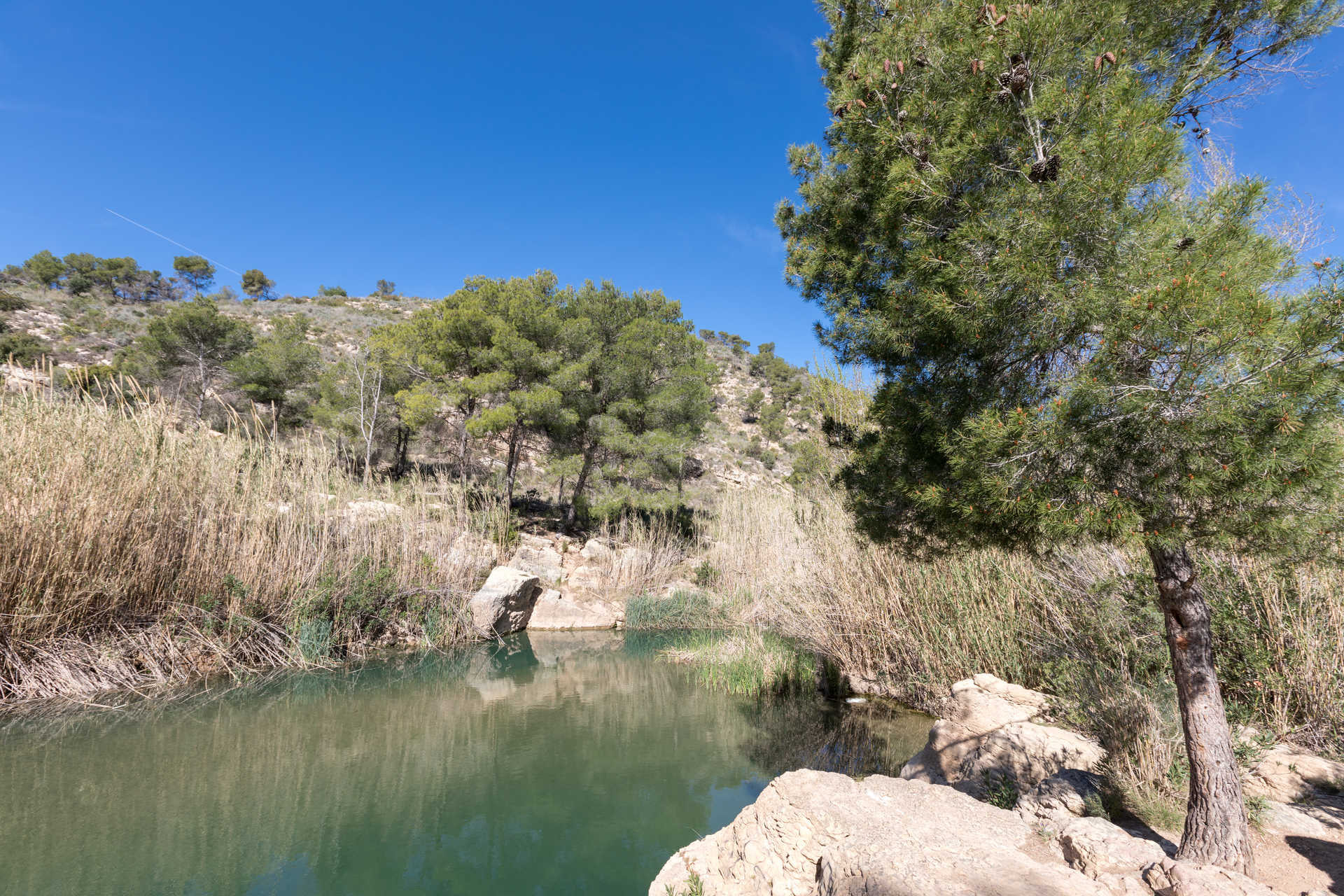 Parque Natural del Turia