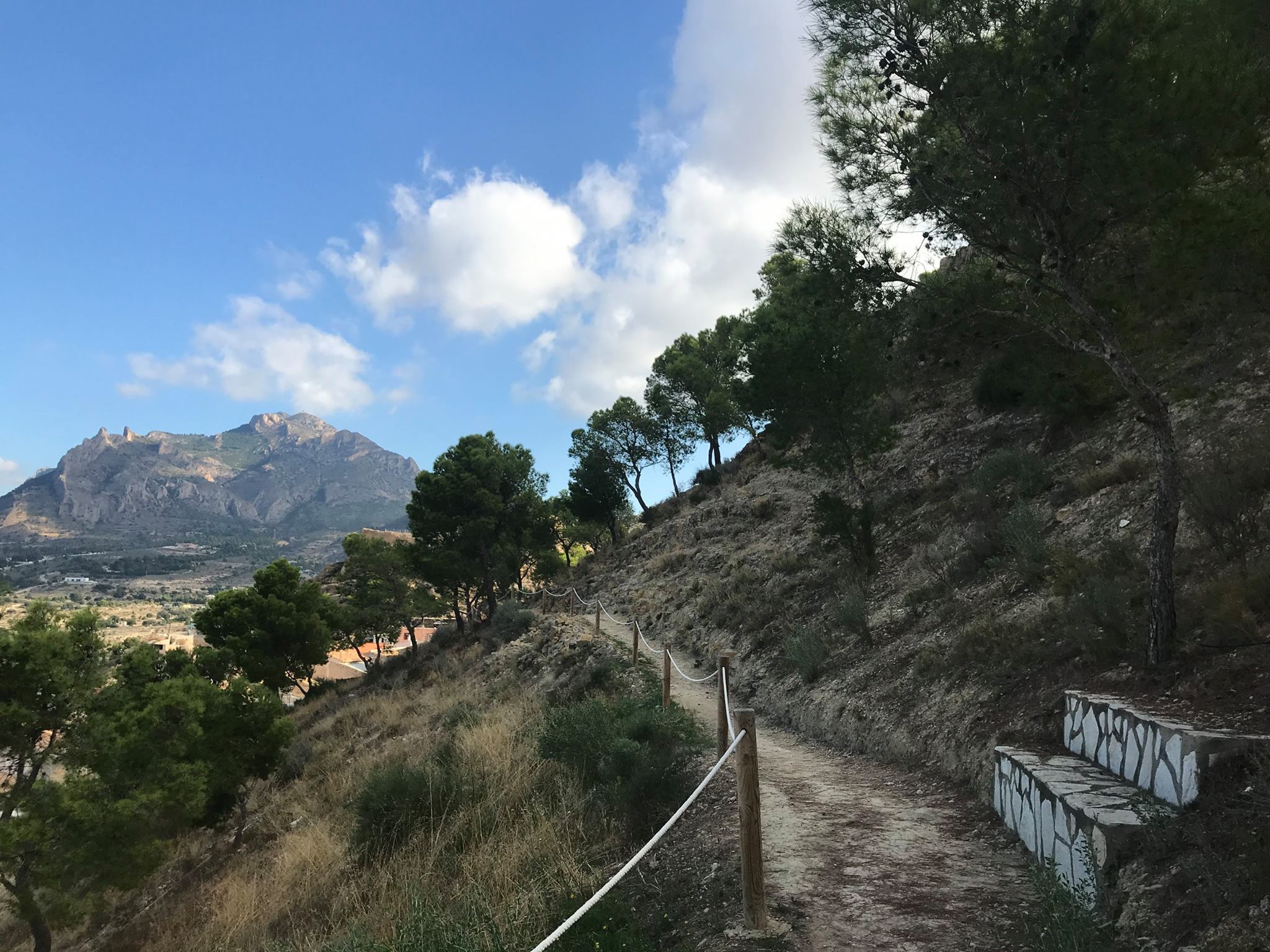 X MARCHA BTT CUEVAS DEL CANELOBRE BUSOT