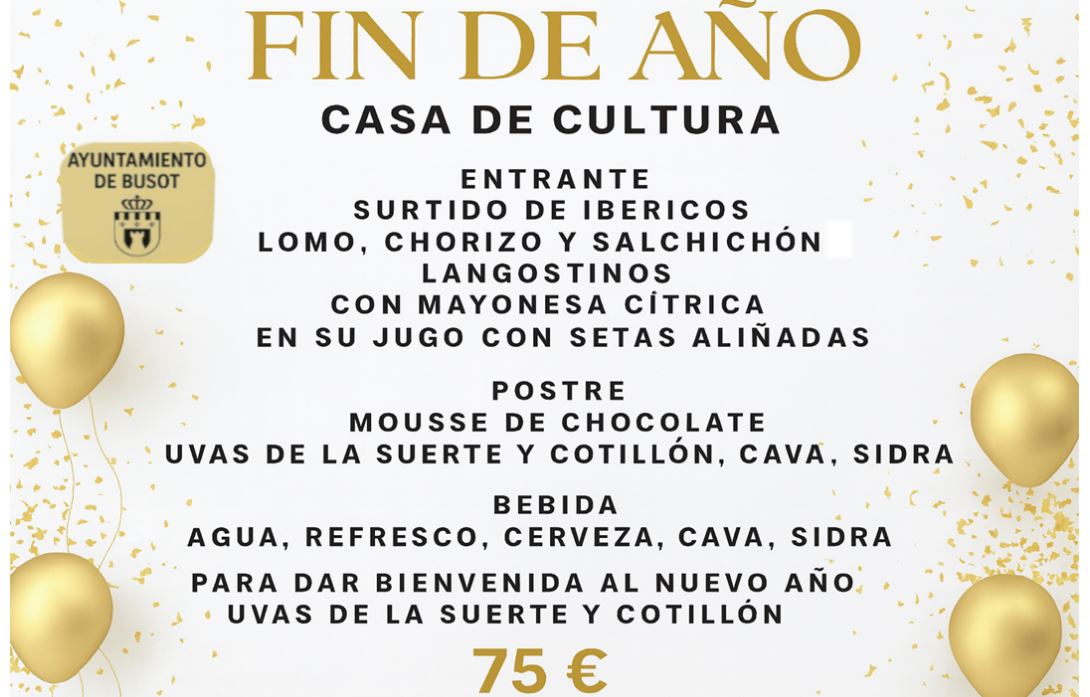 NOCHEVIEJA EN BUSOT