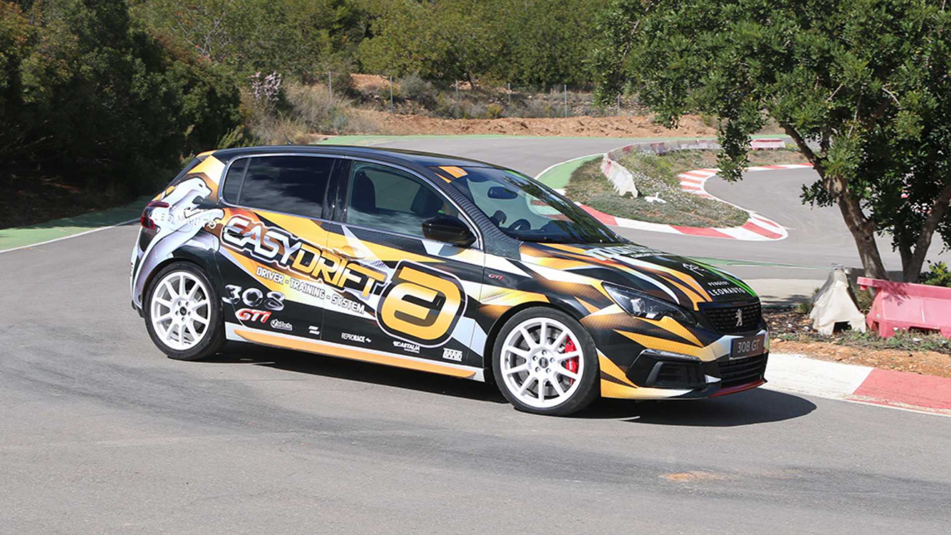 DRIFT CONTROL EASYDRIFT
