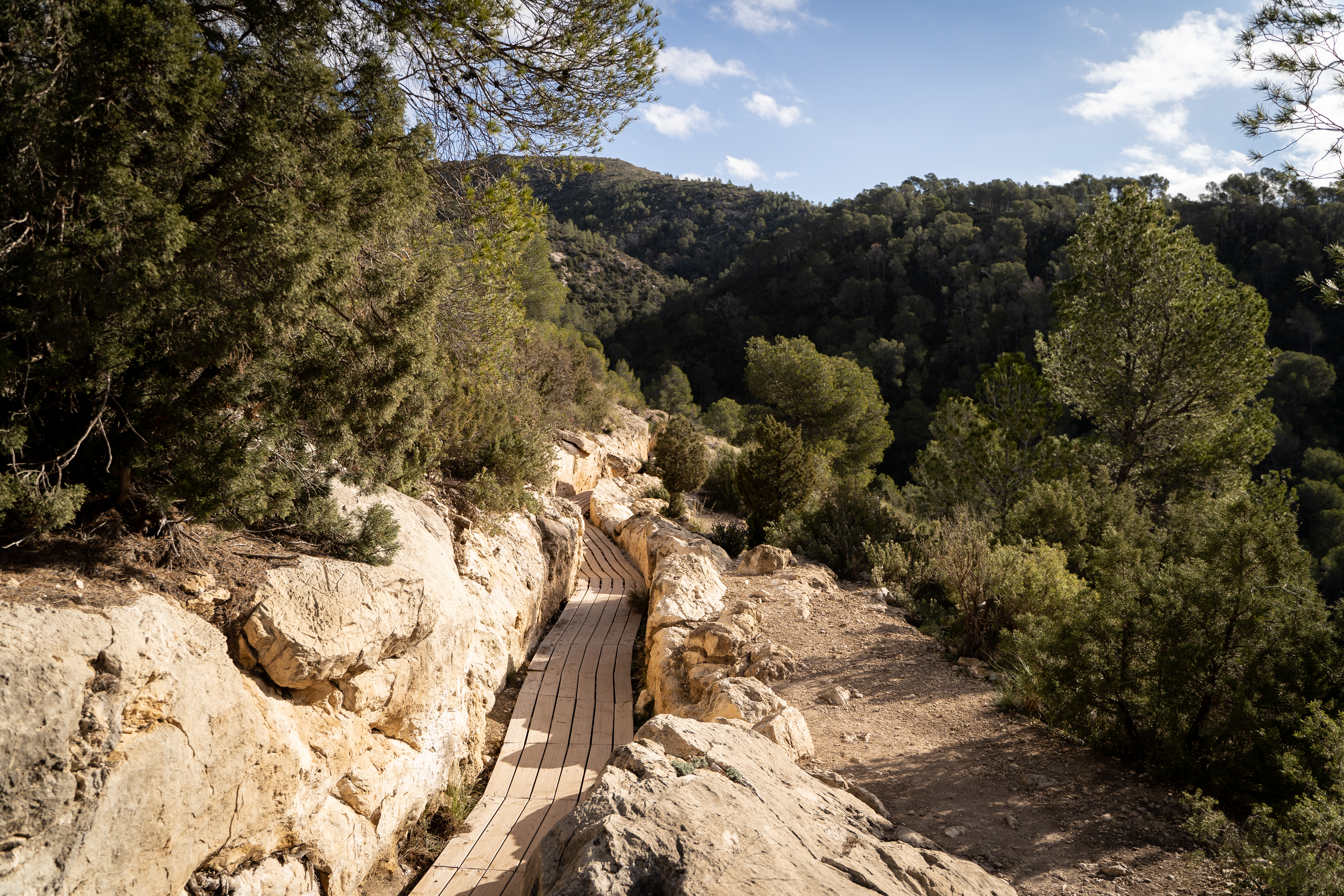 Acueducto de Peña Cortada