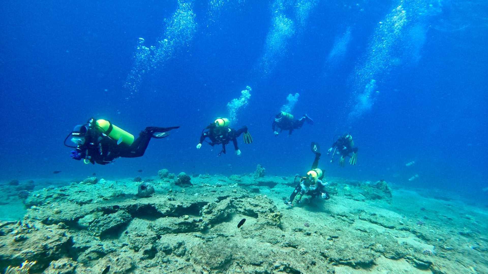 Manta Diving sagunt,