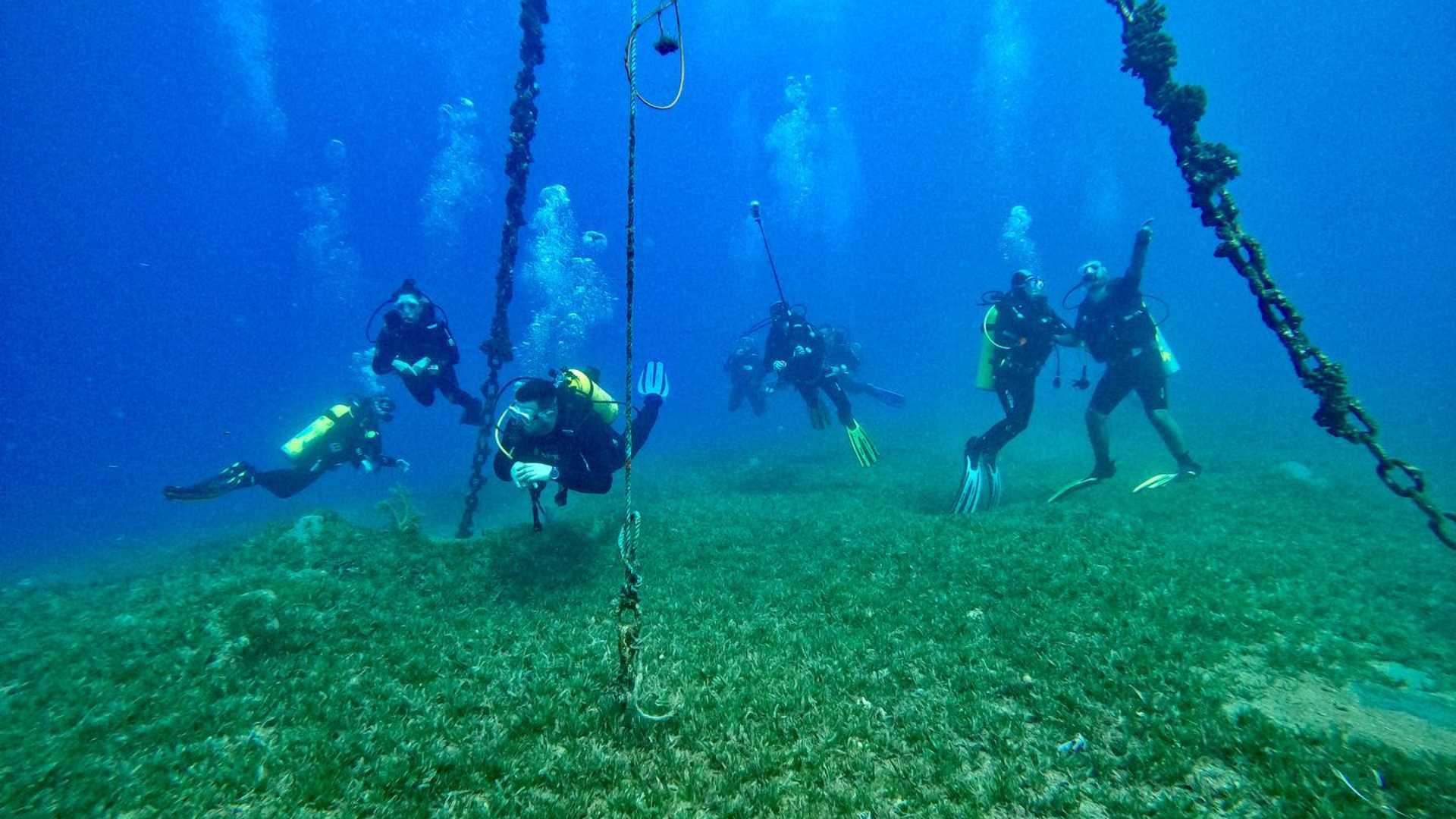plongée sous-marine manta diving