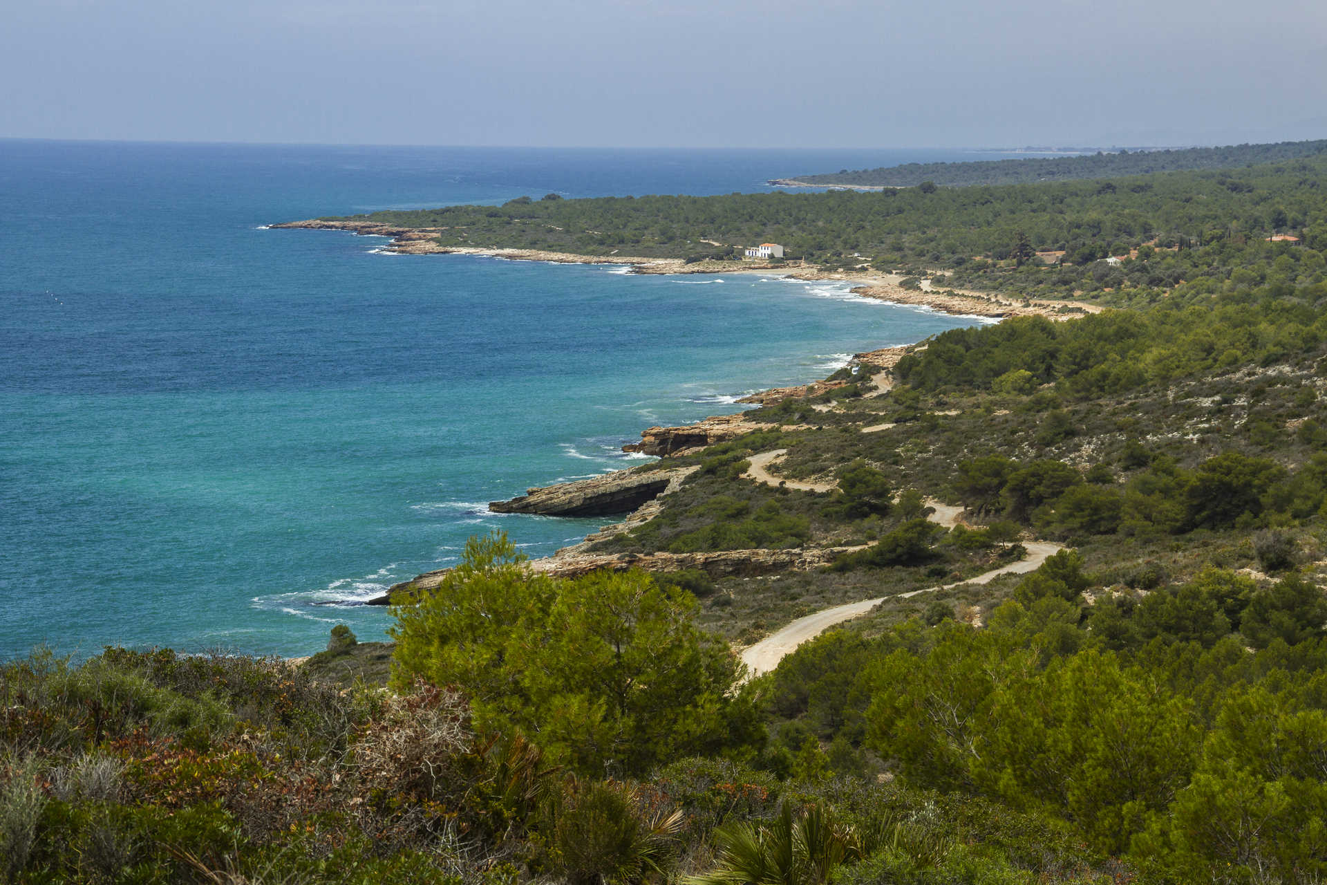 La Reserva Natural Marina de Irta