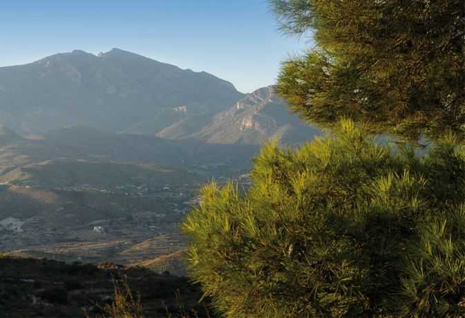 NATÜRLICHE ROUTEN VON EL CAMPELLO