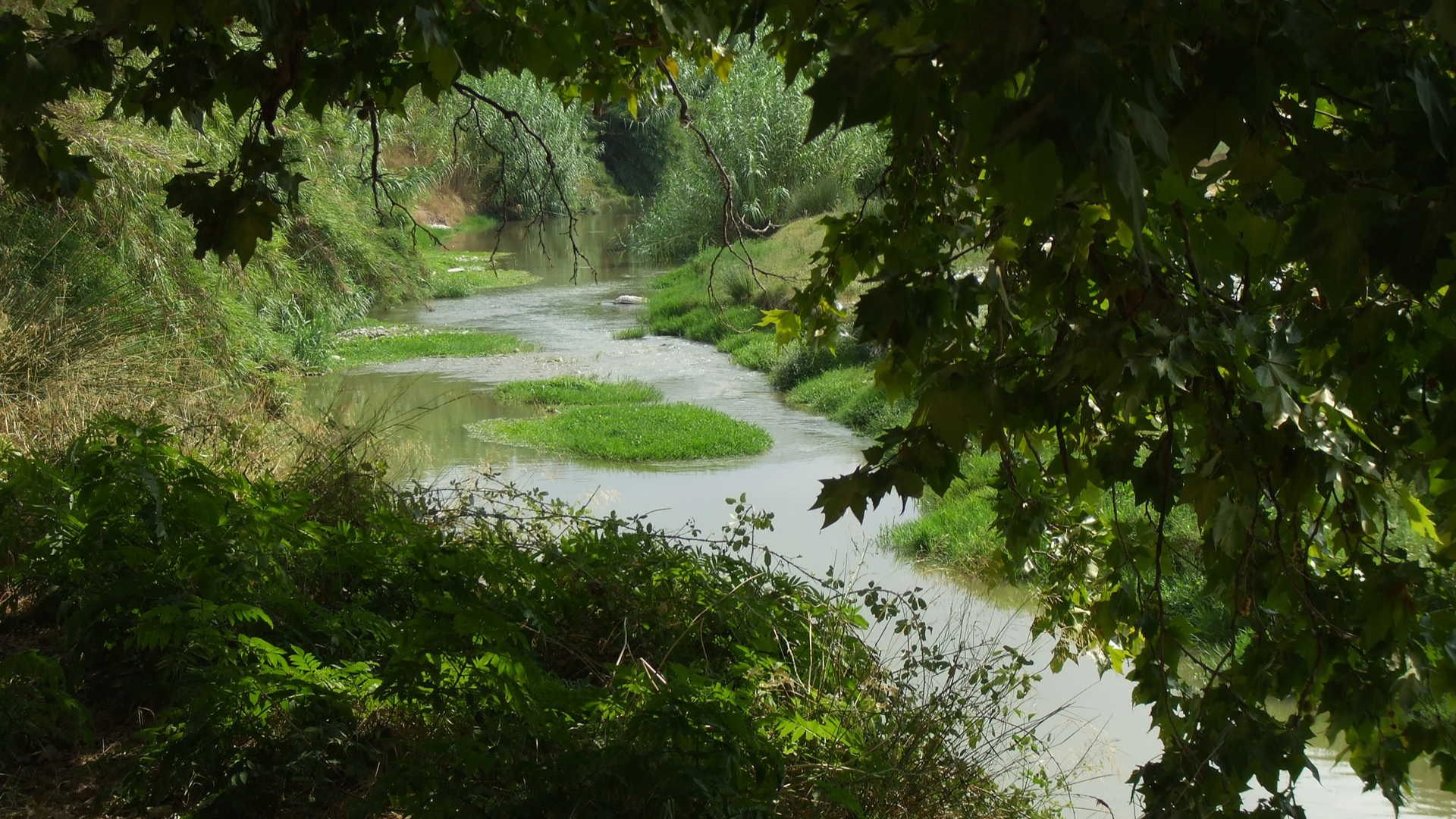Alfarrasí
