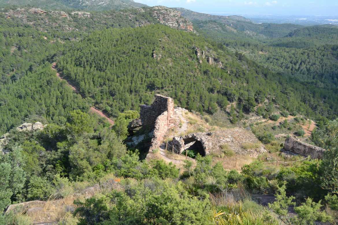 El Castell del Real