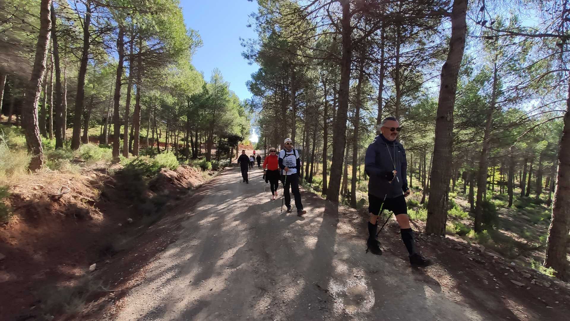 costa blanca nordic walking elche